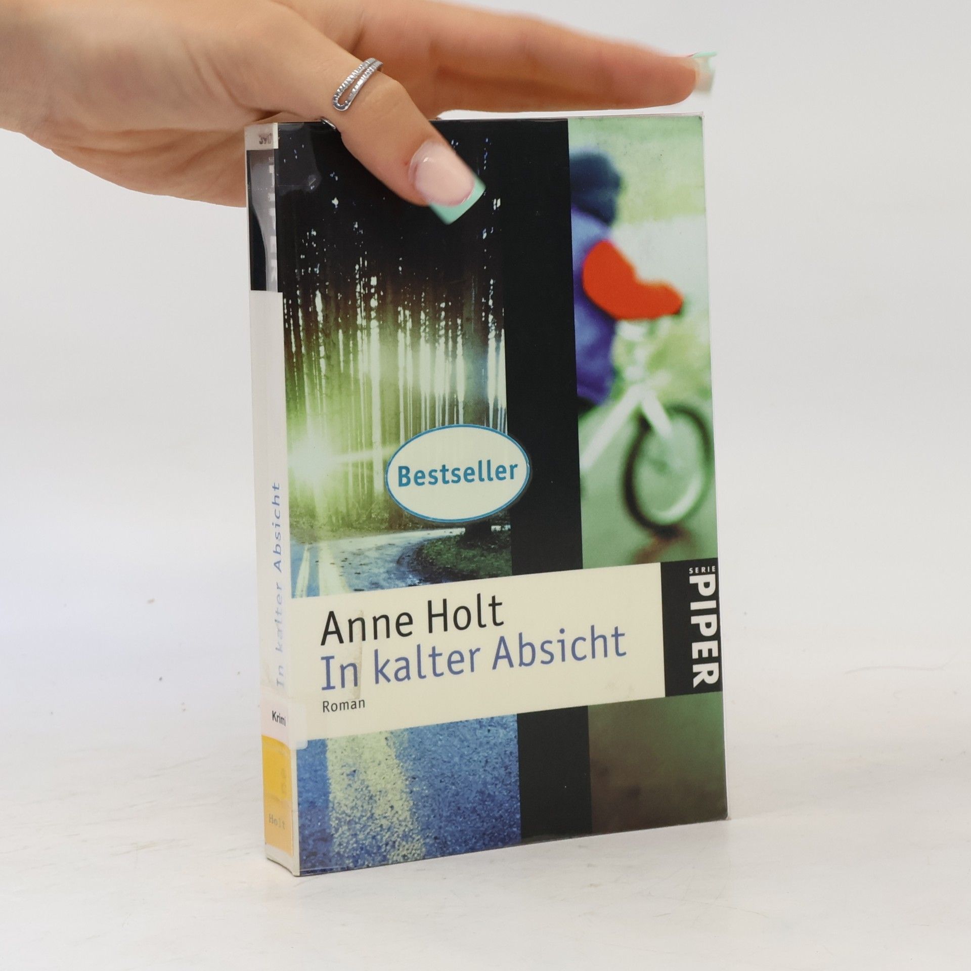 Anne Holt In kalter Absicht