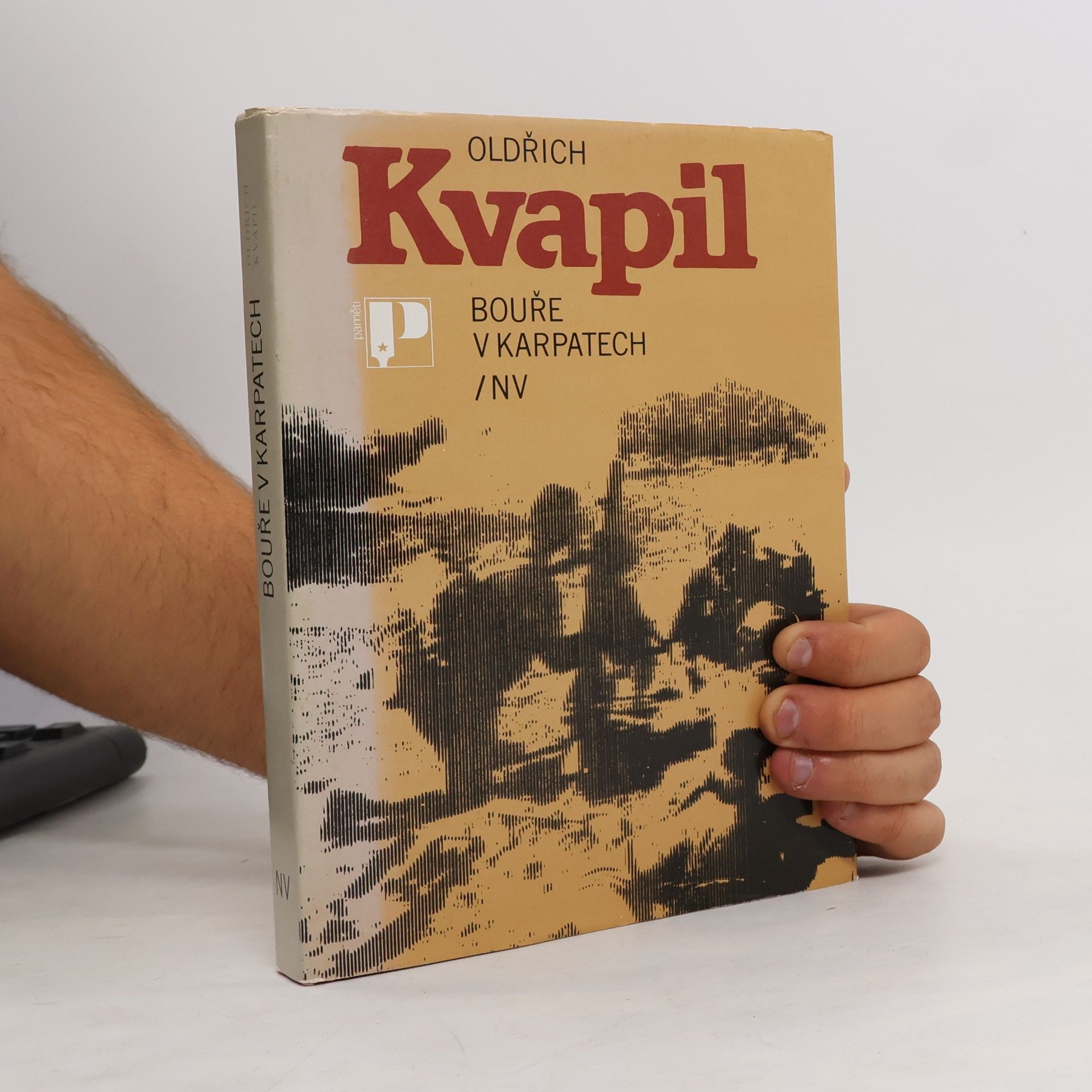 Oldřich Kvapil Bouře v Karpatech