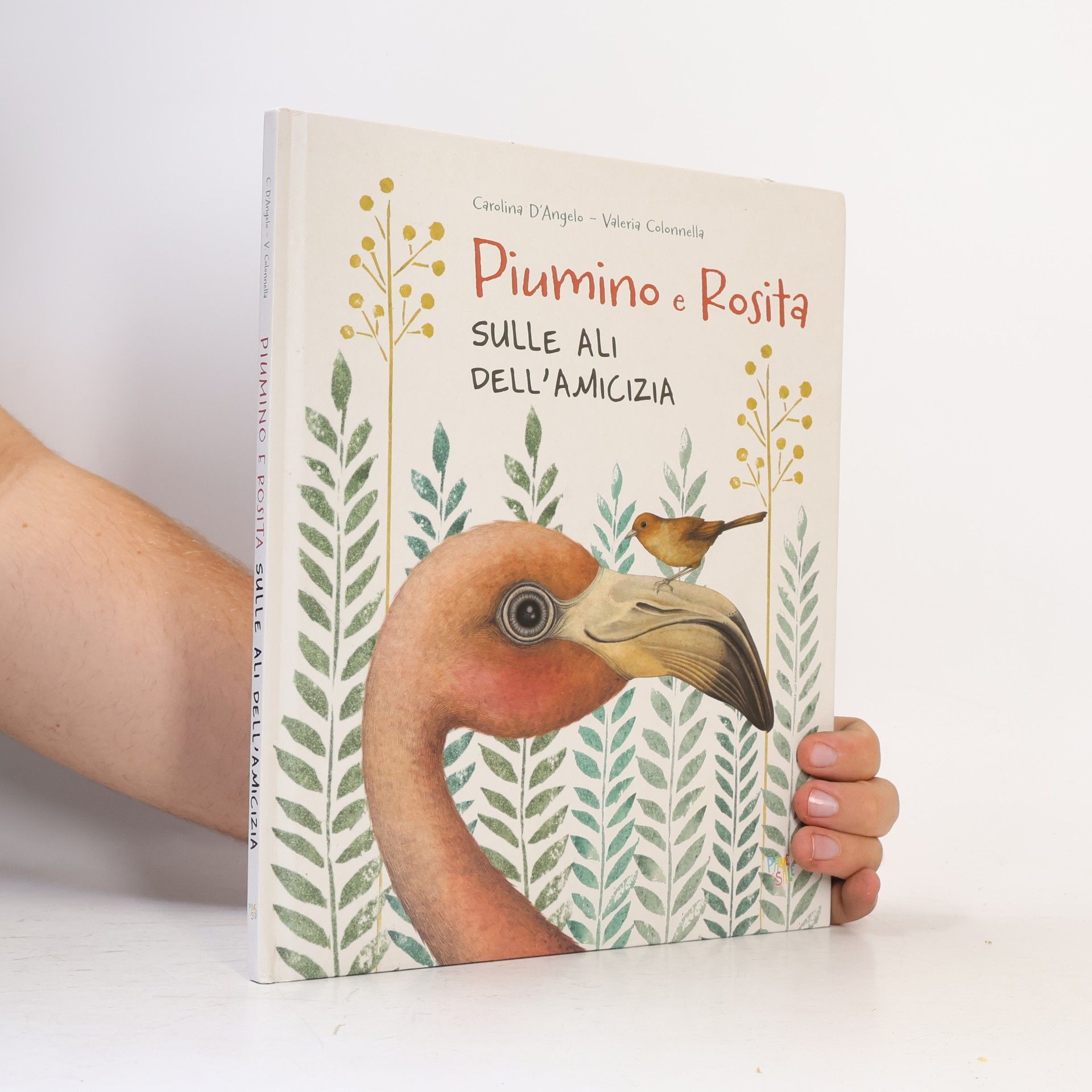Carolina D'Angelo Rosita e Piumino. Sulle ali dell'amicizia. Ediz. a colori