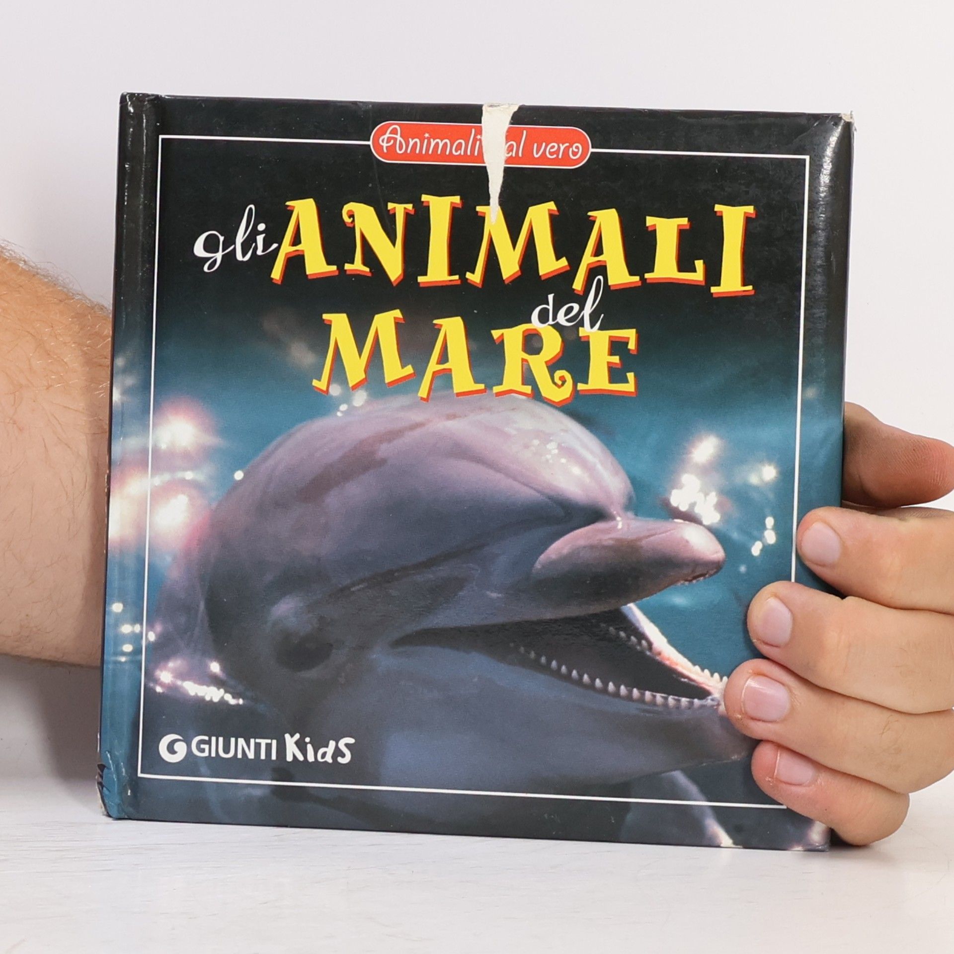 Animali al vero: Gli animali del mare