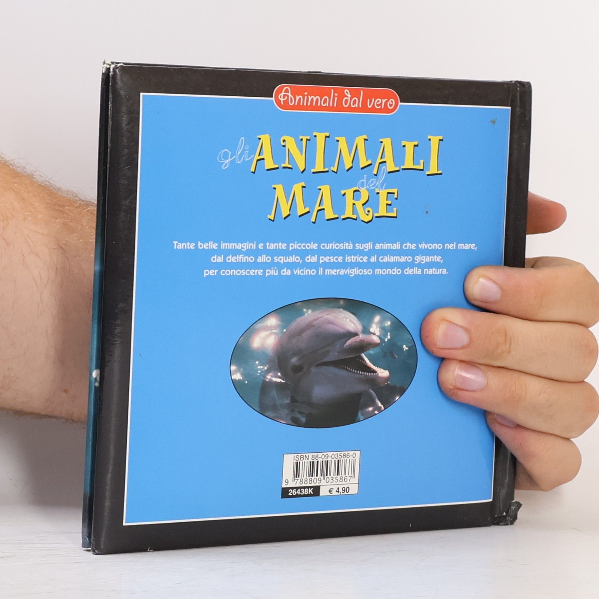 Animali al vero: Gli animali del mare