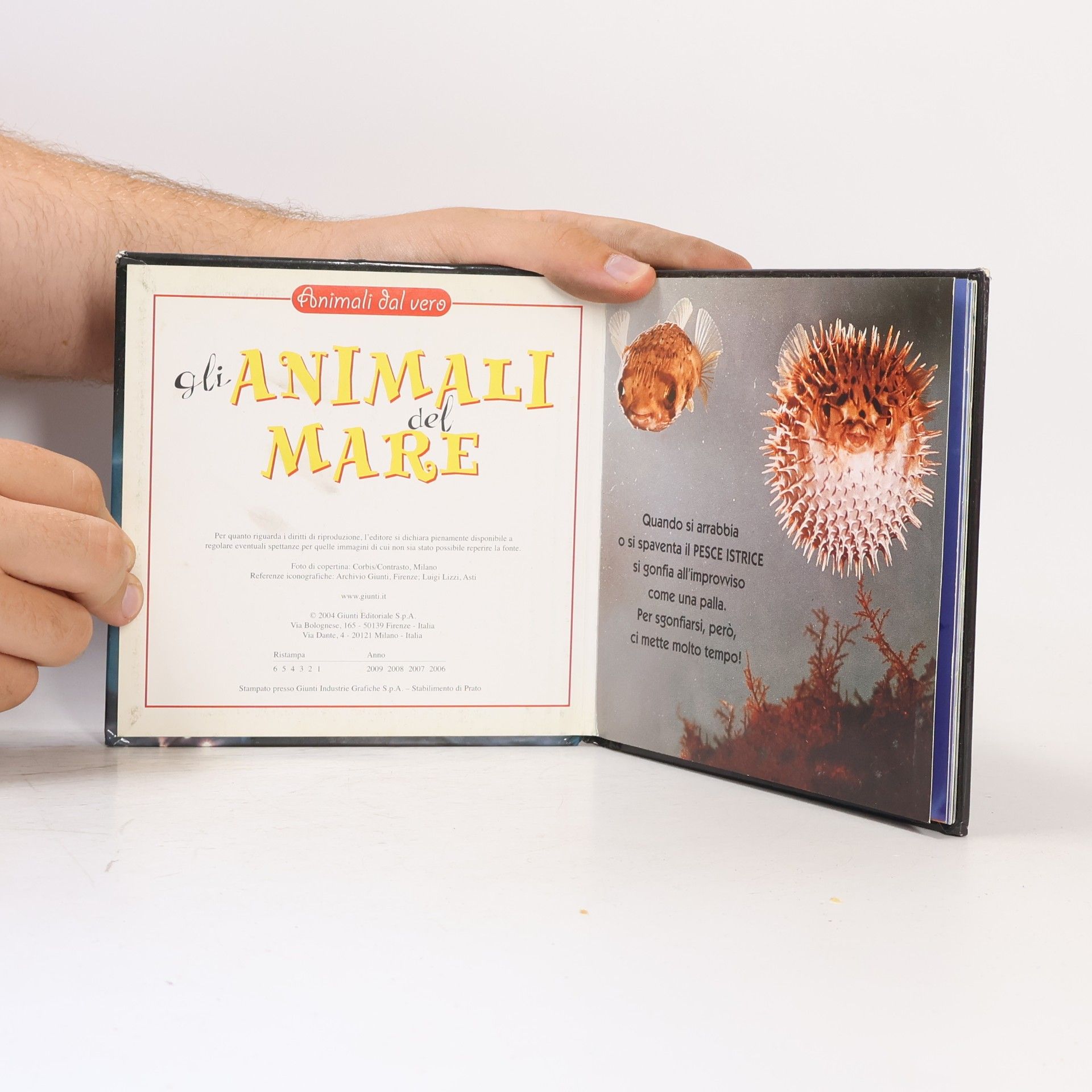 Animali al vero: Gli animali del mare