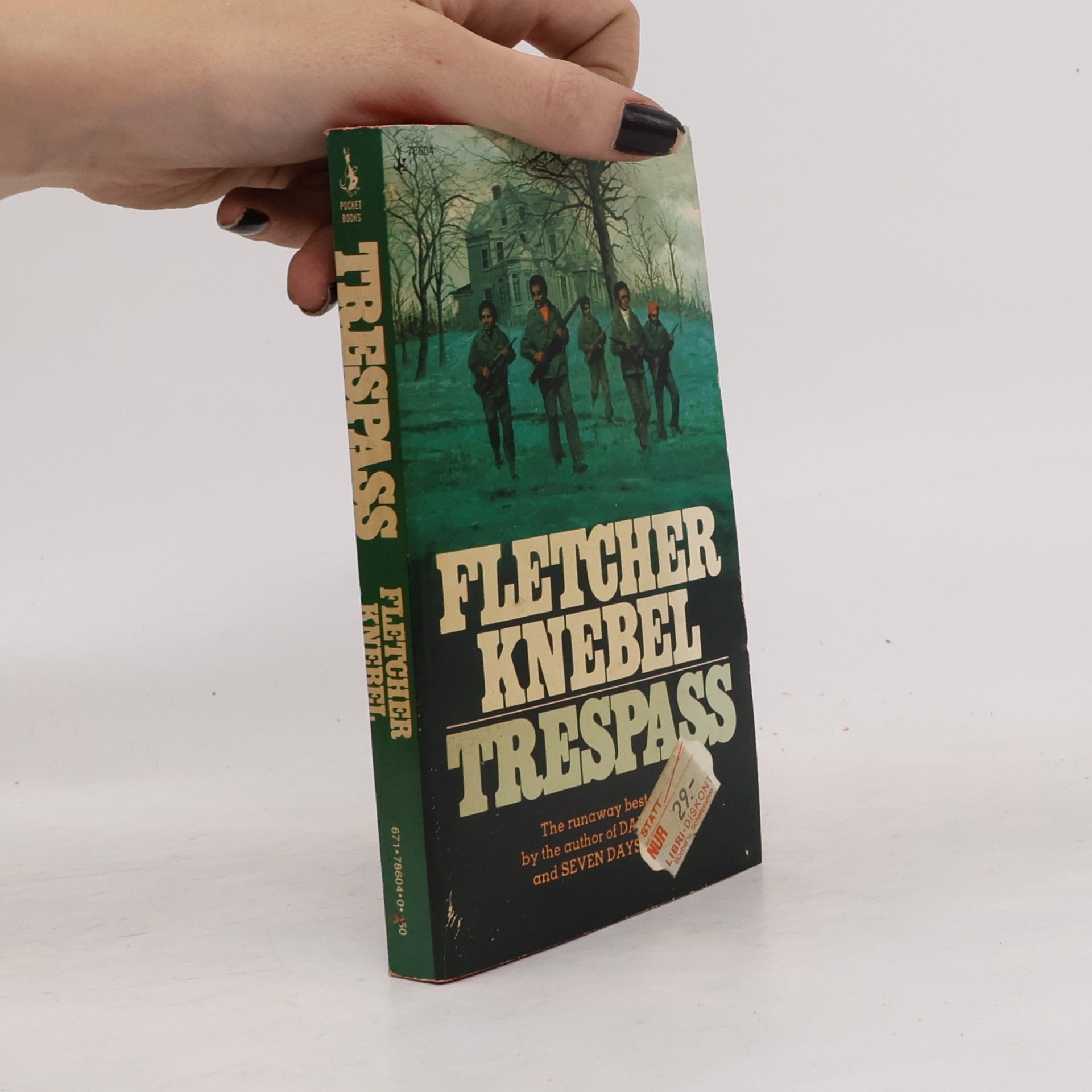 Fletcher Knebel Trespass