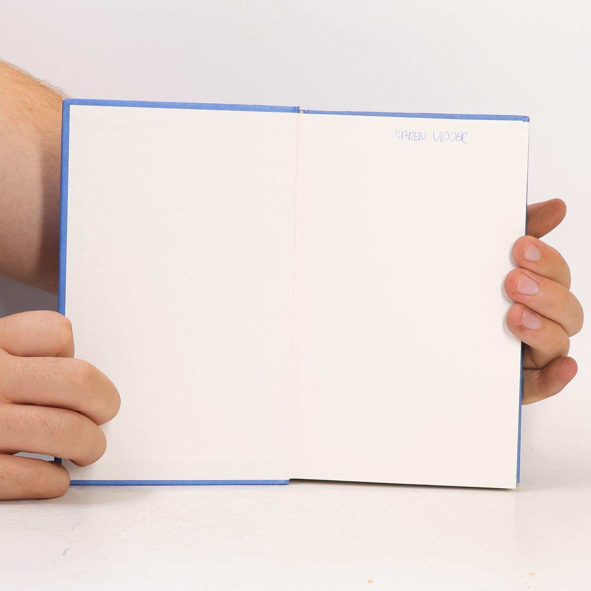 Pieter Arie Albert Klok Klein geneeskundig woordenboek