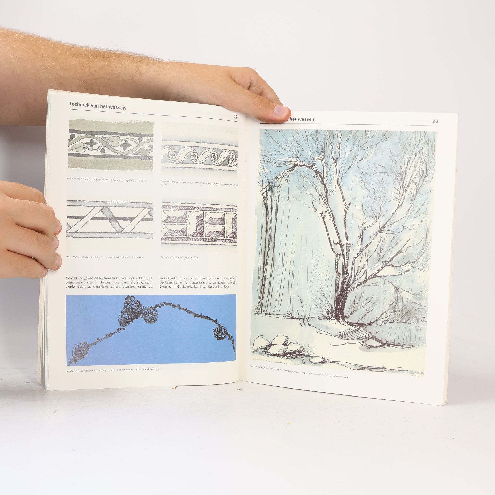 Ruth Baessler Tekenen als Hobby - 8: Landschappen in pen en inkt