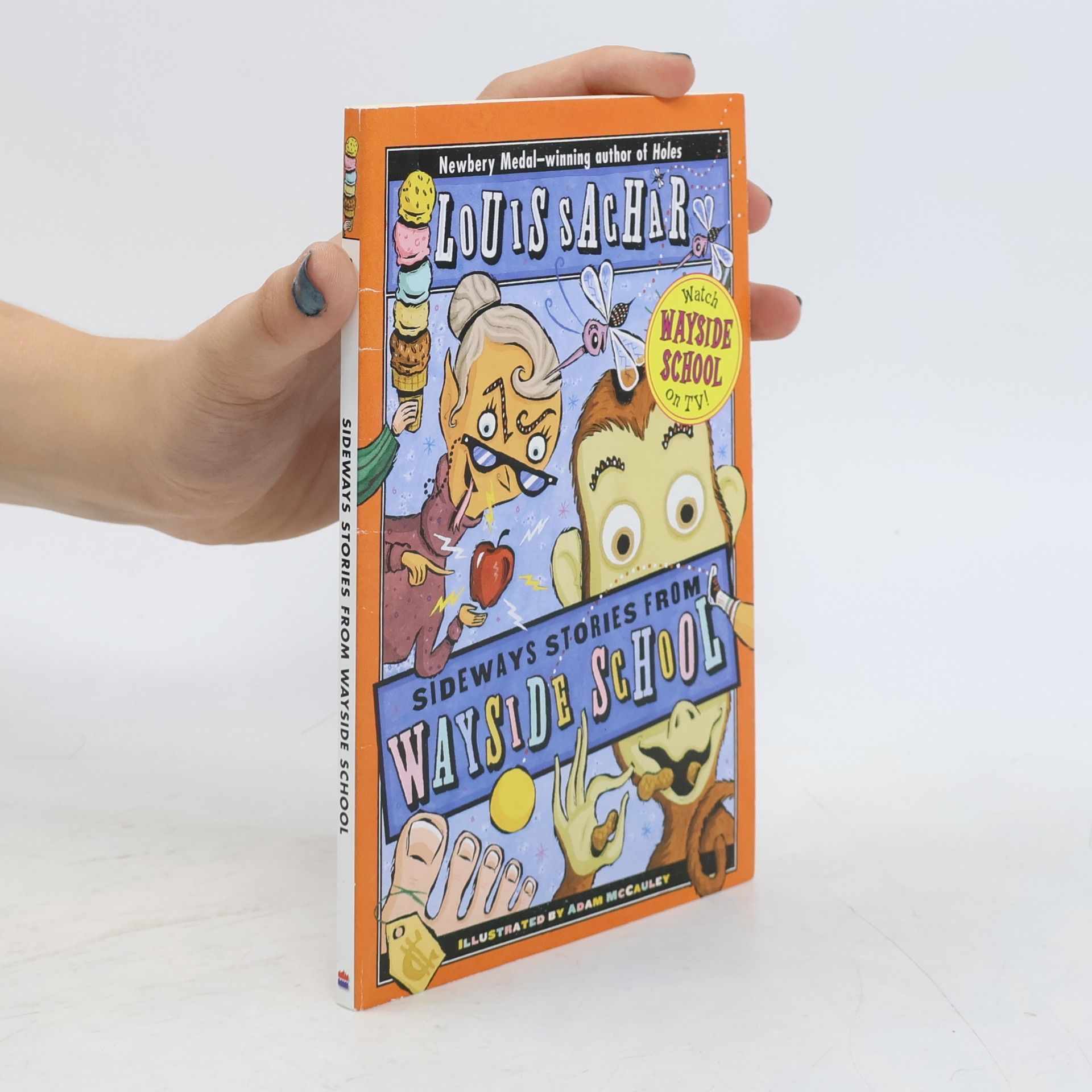 Louis Sachar Sideways Stories from Wayside School