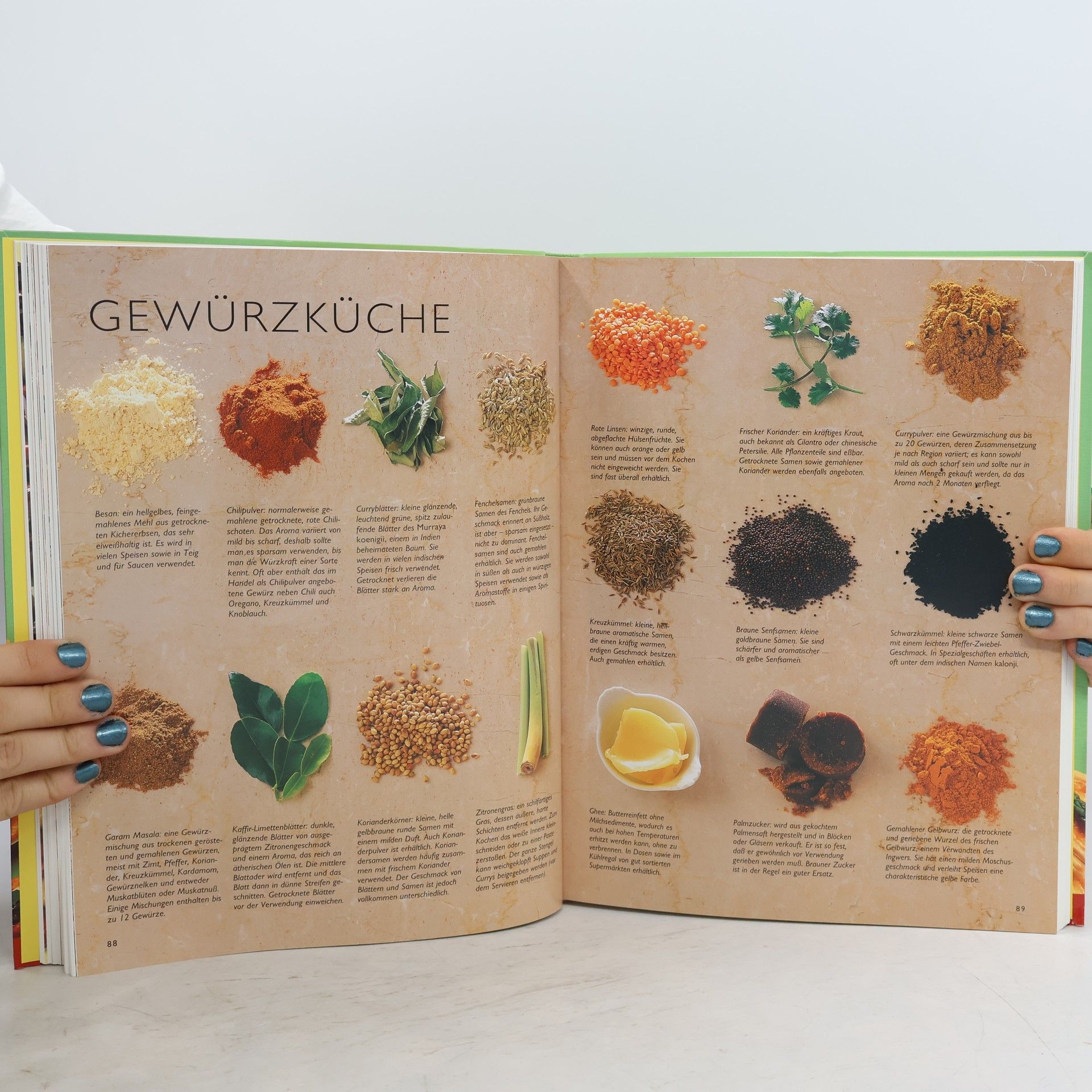 Autorenkollektiv Das große Kochbuch Snacks & Fingerfood