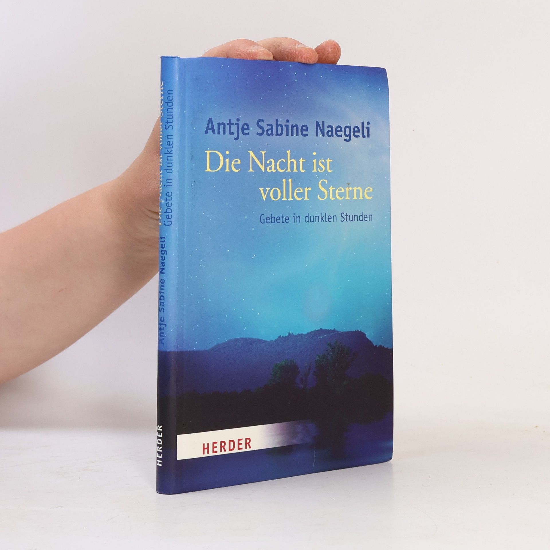 Antje Sabine Naegeli Die Nacht ist voller Sterne
