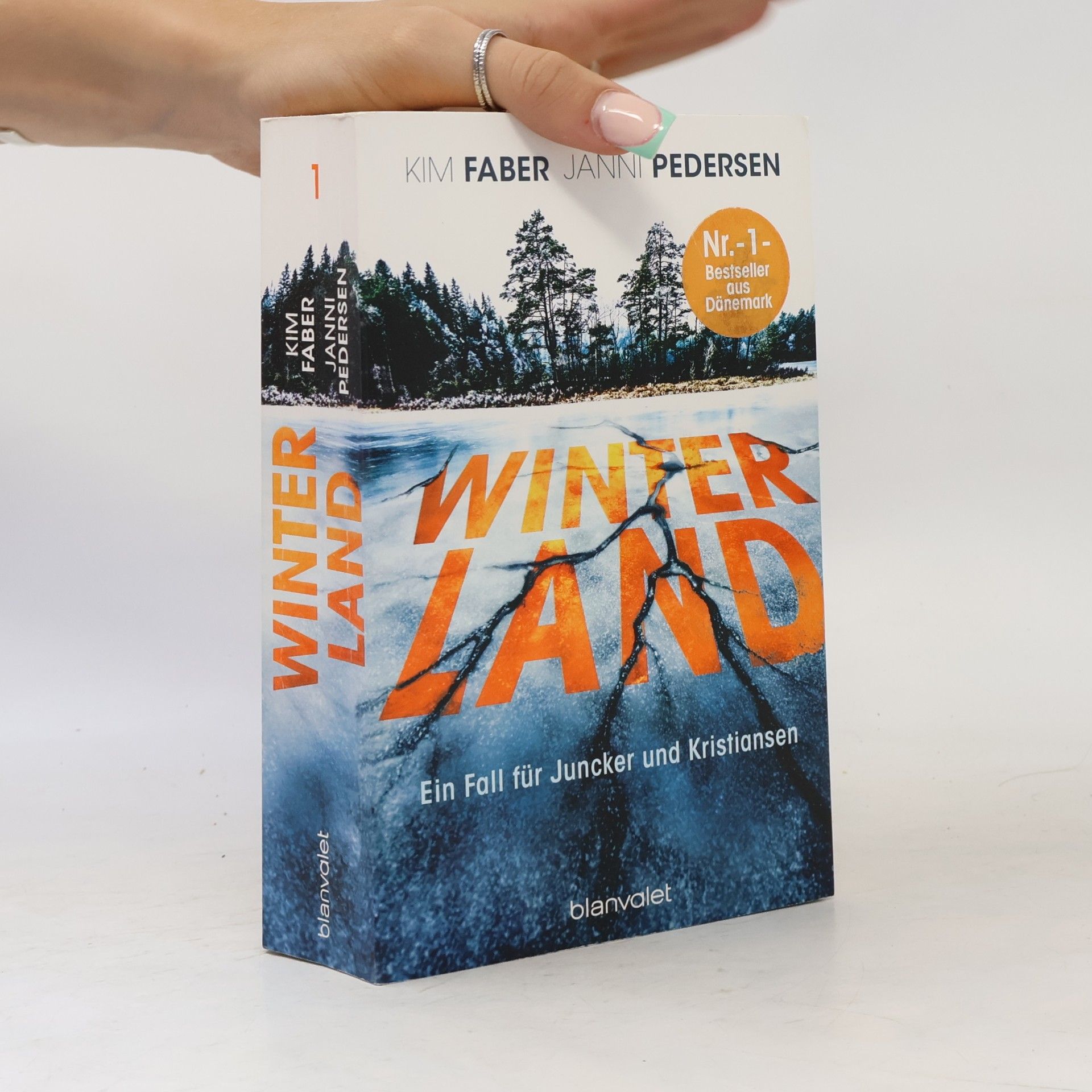 Kim Faber Winterland