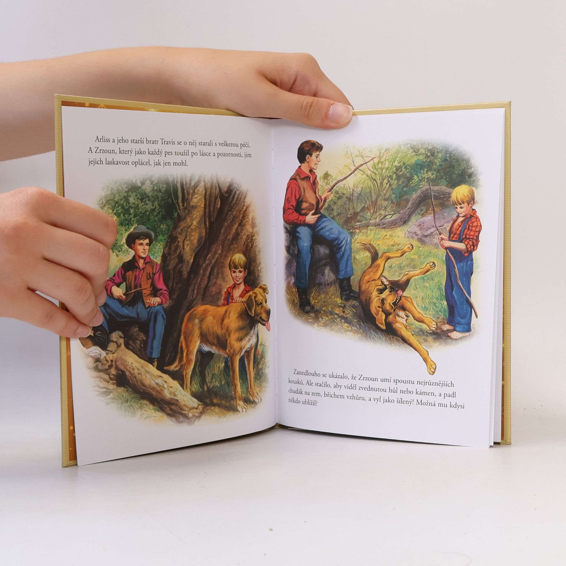 Autorenkollektiv Zlatá sbírka pohádek 132. Zrzoun