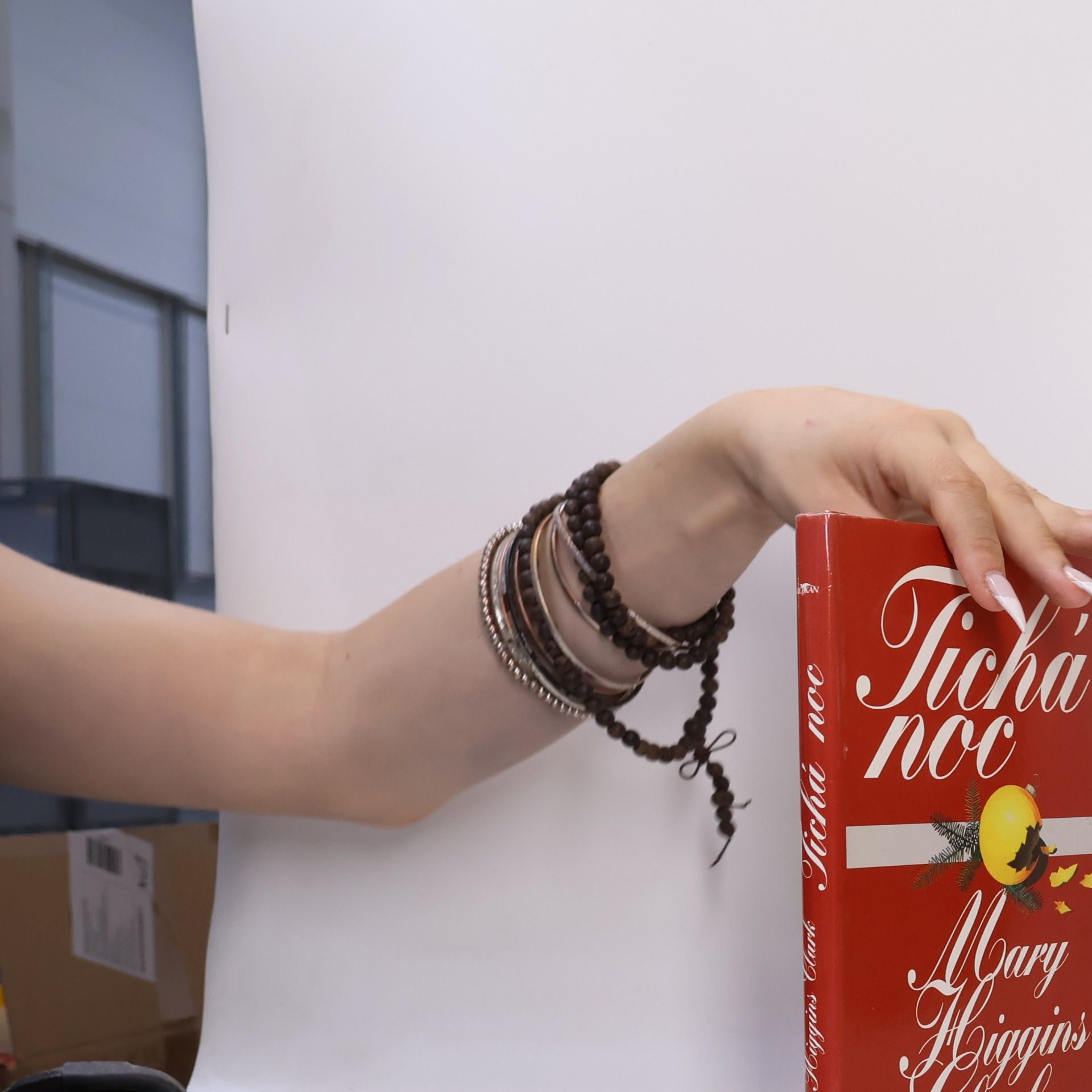 Mary Higgins Clark Tichá noc