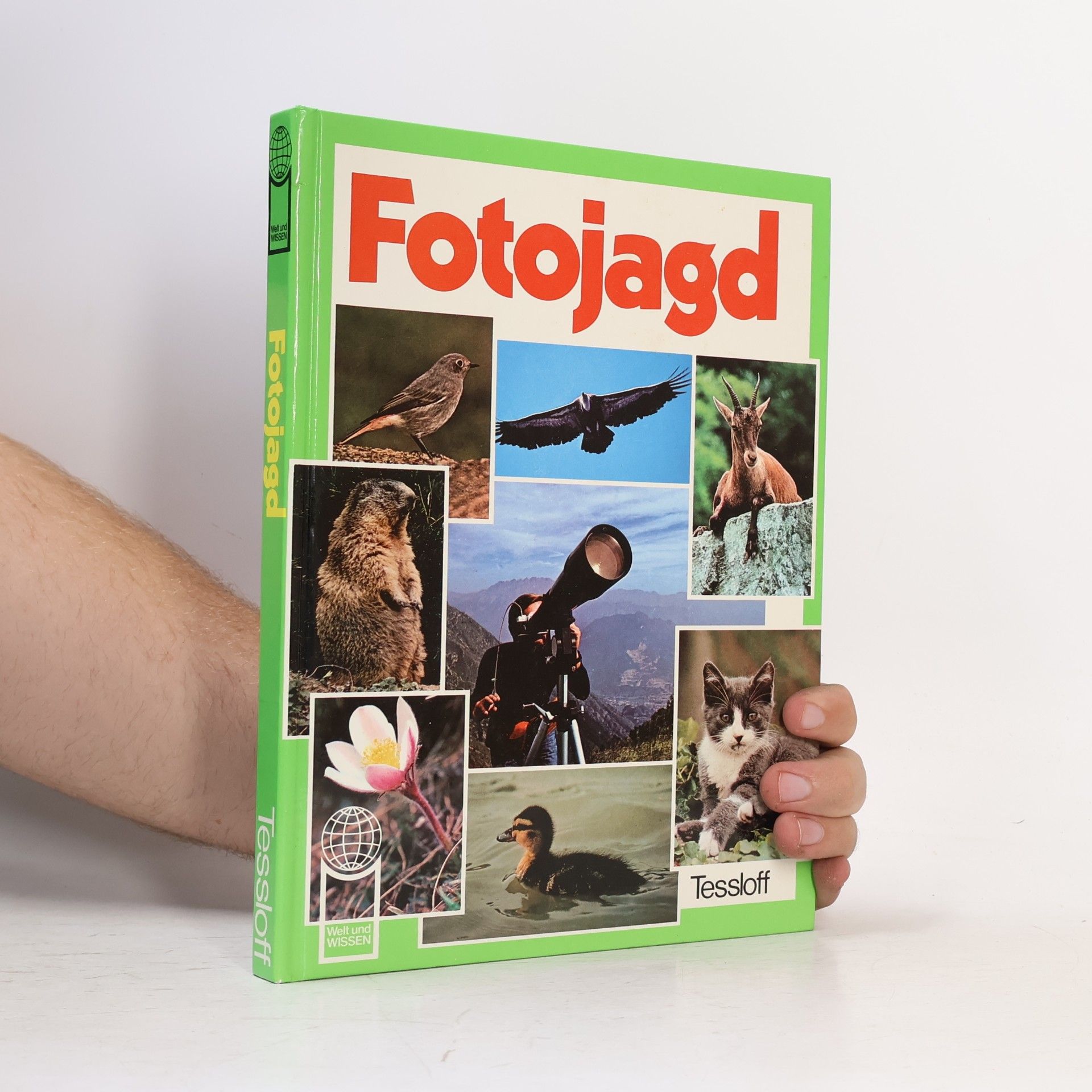 Giorgio P. Panini Fotojagd