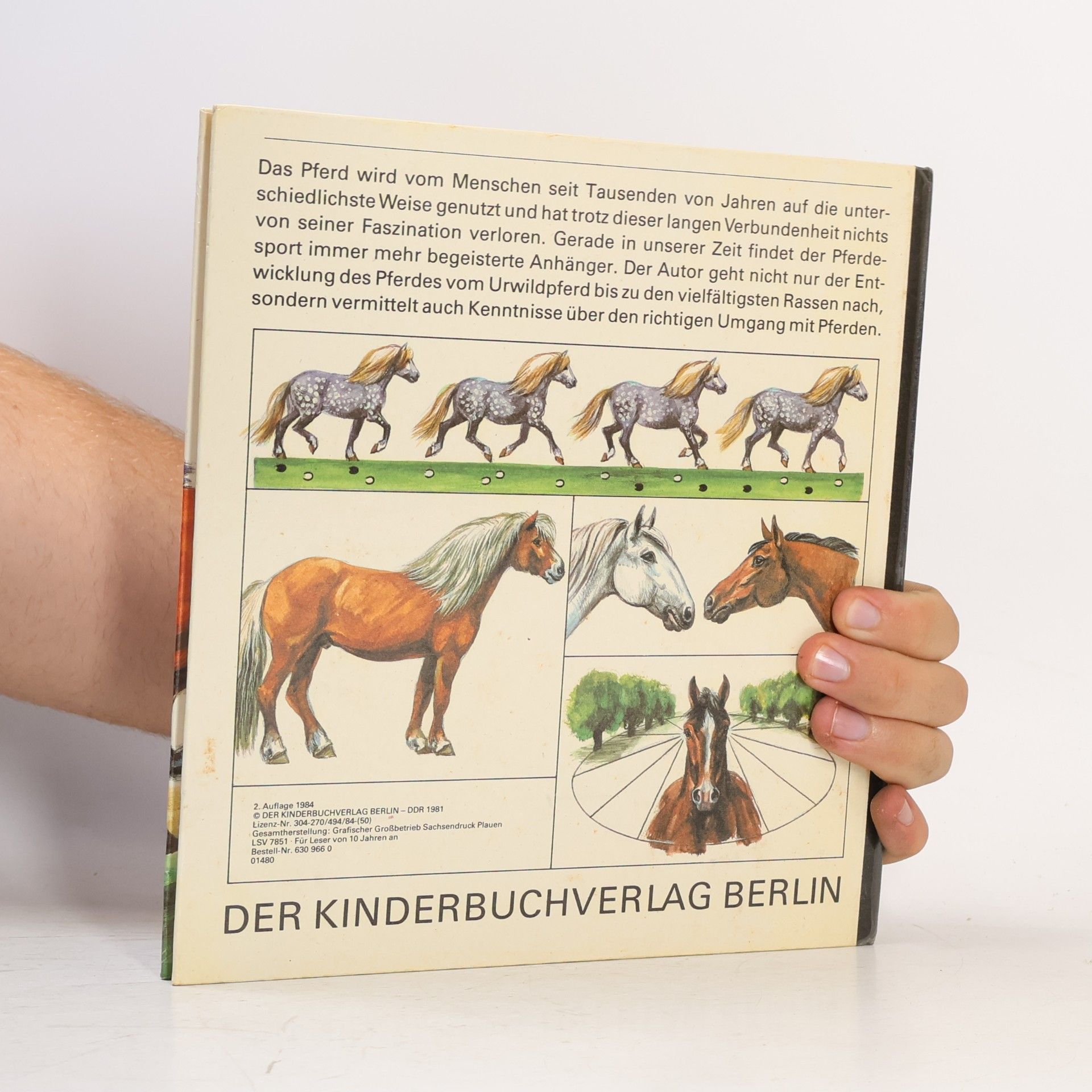 Various authors Pferde