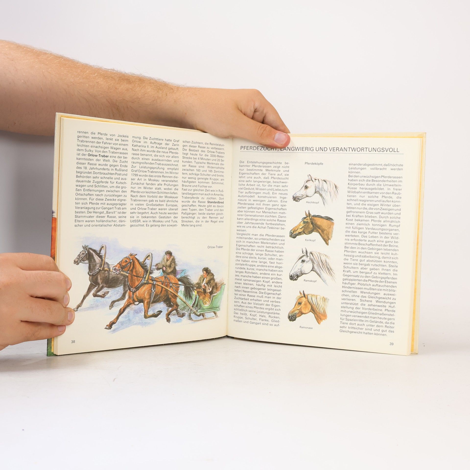 Various authors Pferde