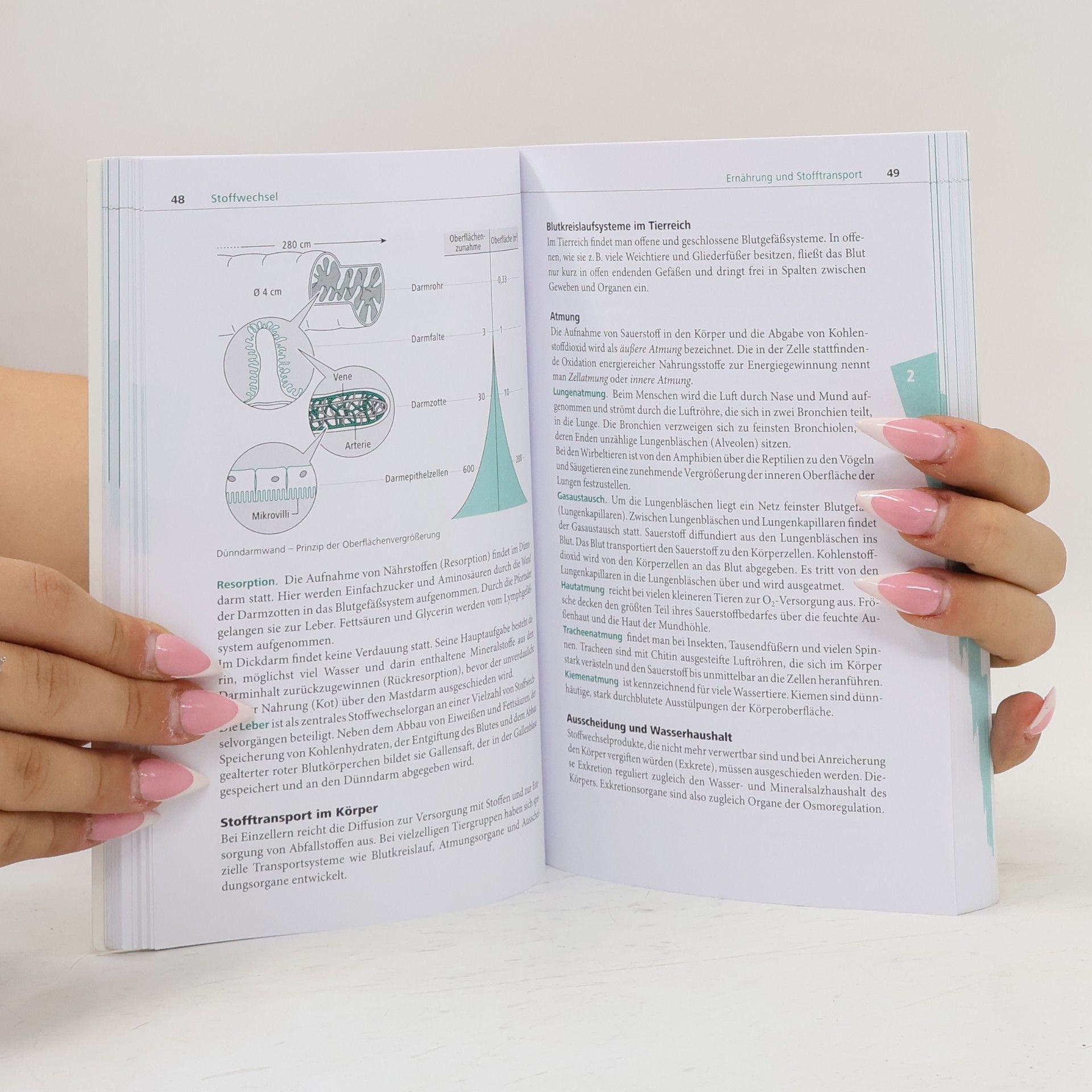 Autorenkollektiv Pocket Teacher Abi Biologie