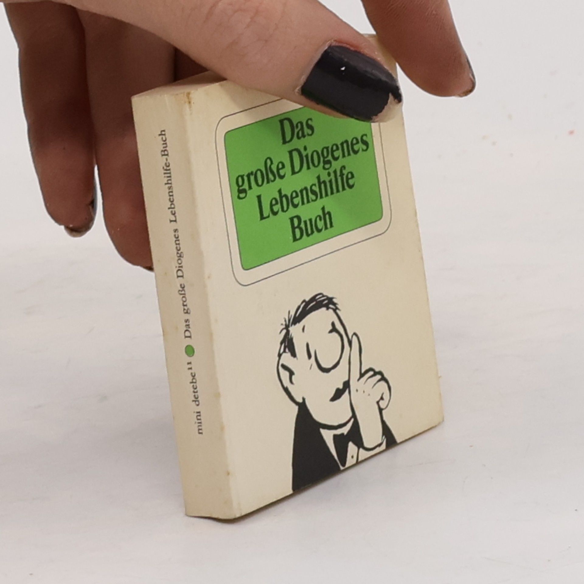 Christian Morgenstern Das grosse Diogenes-Lebenshilfe-Buch
