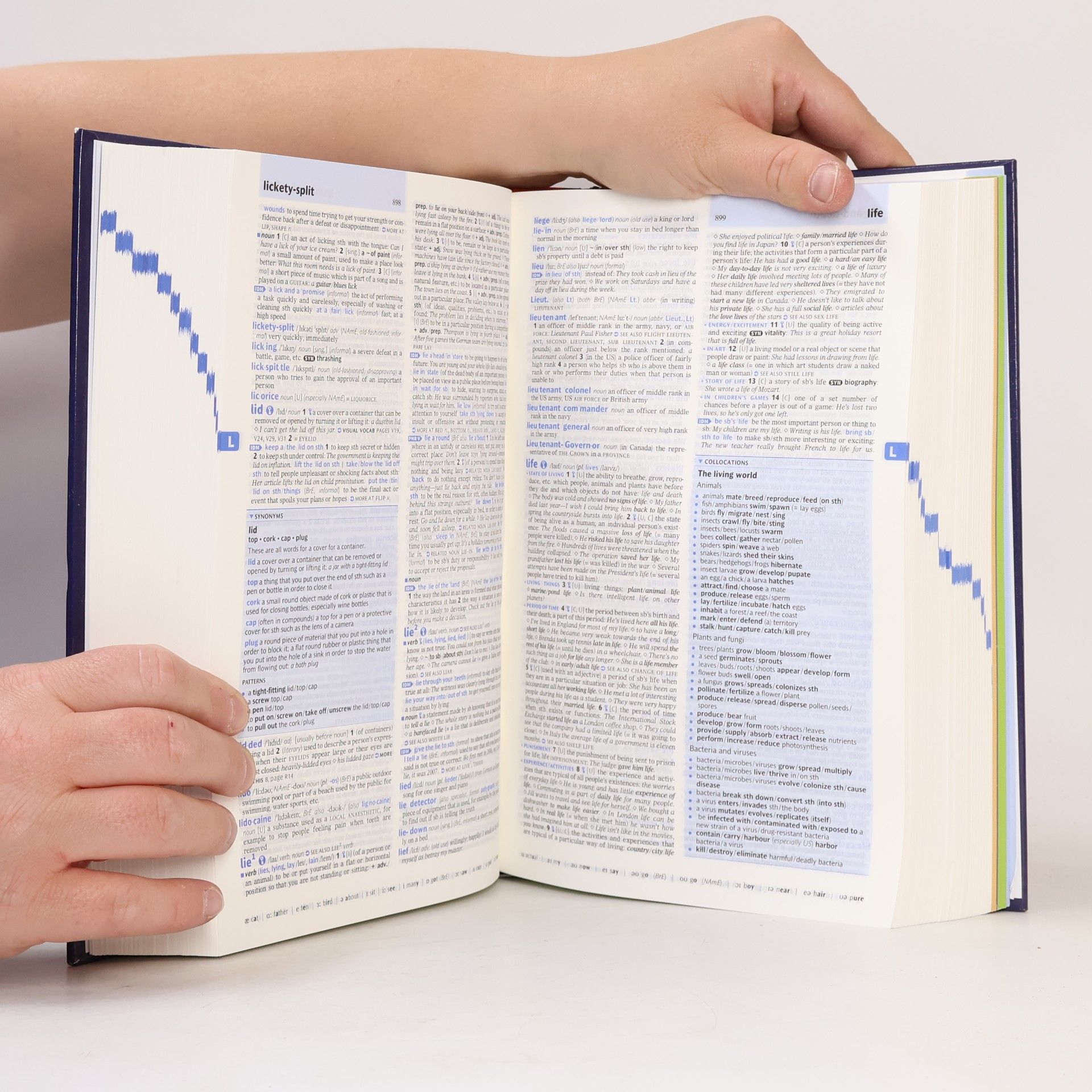 Autorenkollektiv Oxford Advanced Learner's Dictionary - 9th Edition - B2-C2