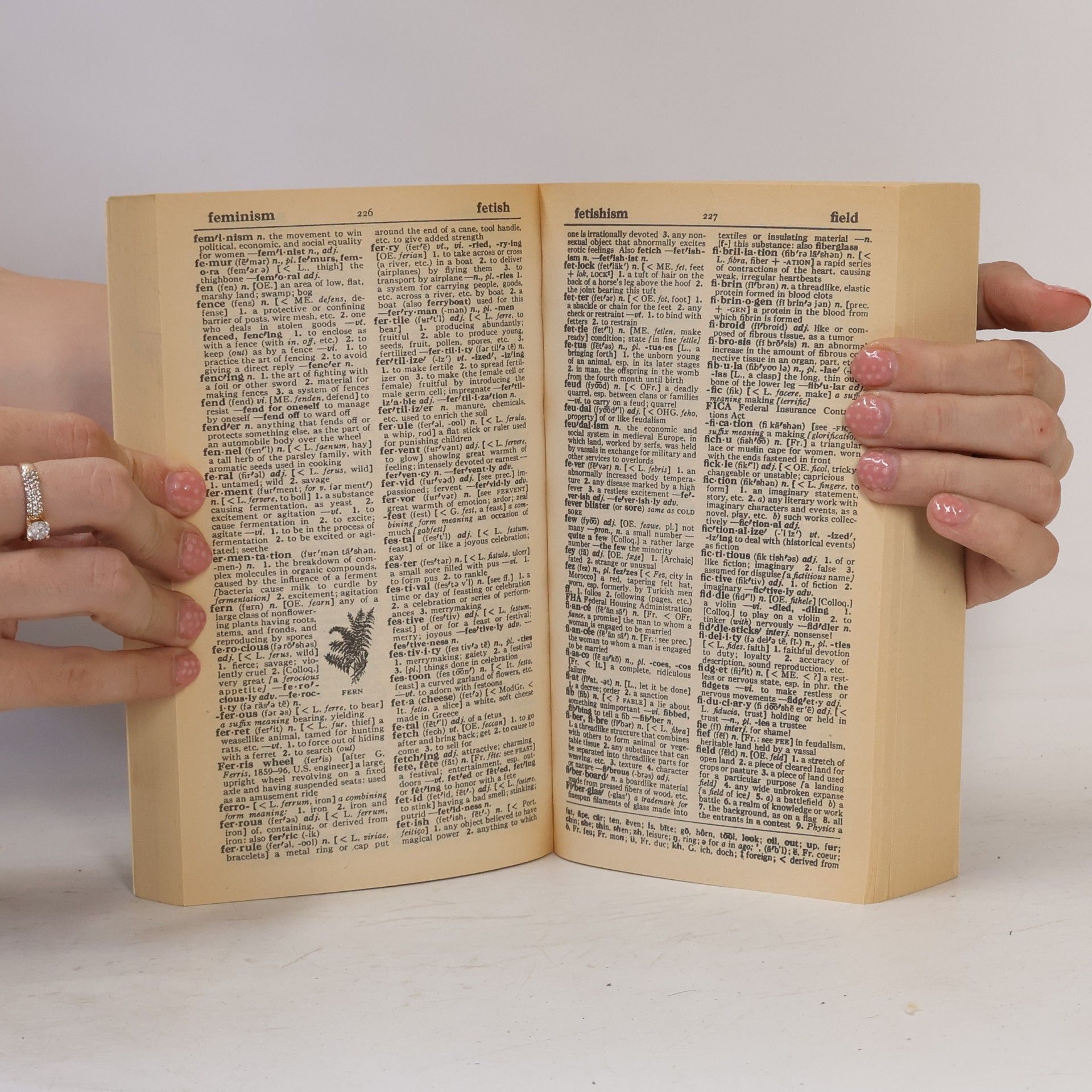 David B. Guralnick Webster's New World Dictionary