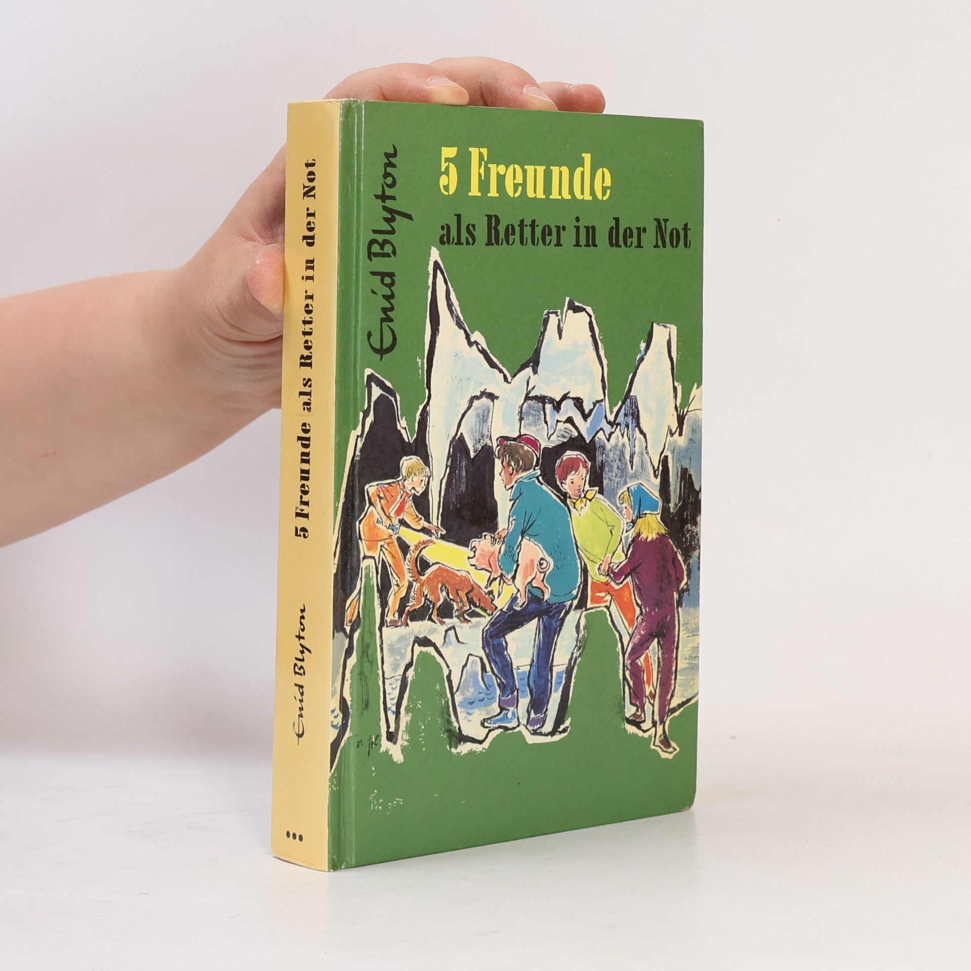 Enid Blyton 5 Freunde als Retter in der Not