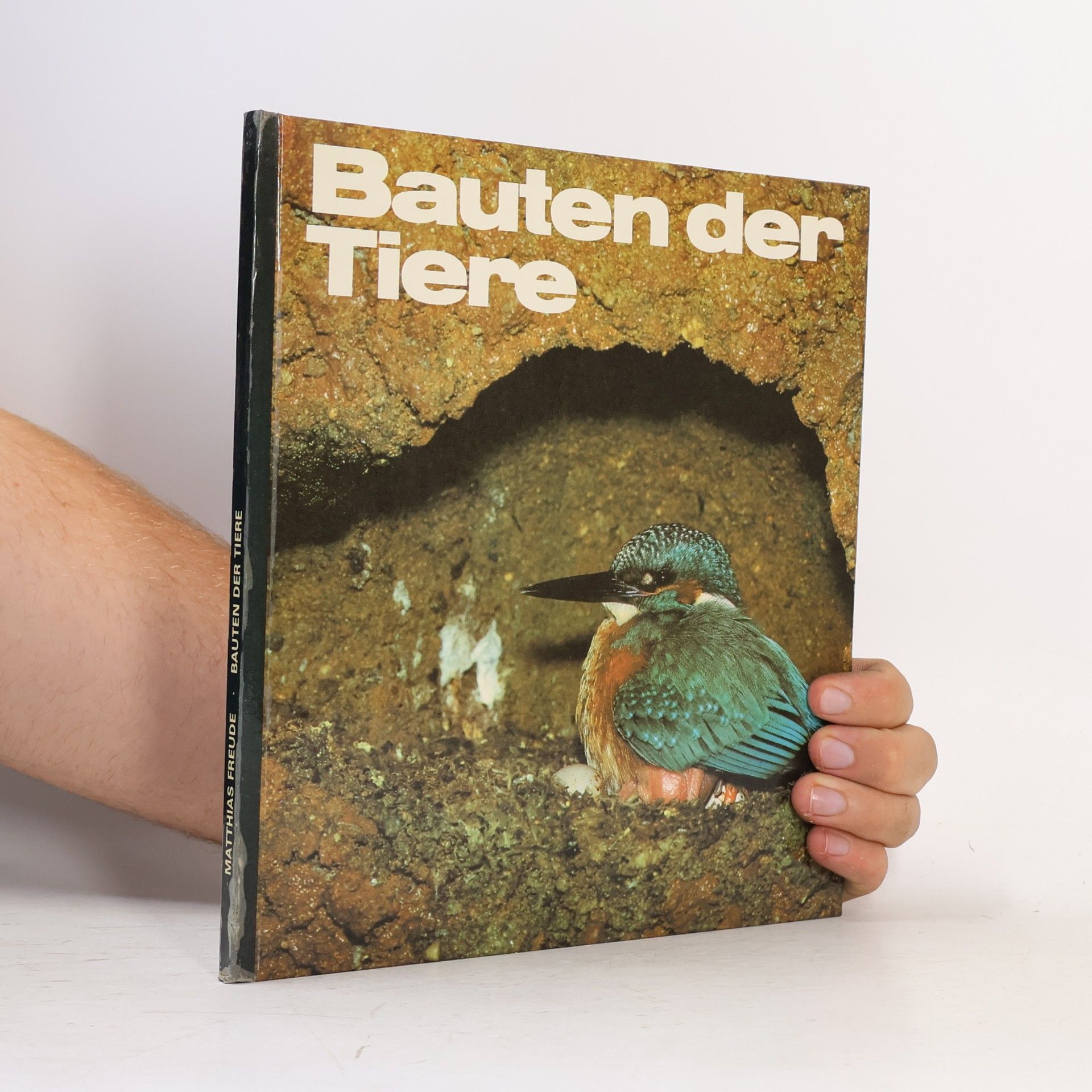 Matthias Freude Bauten der Tiere