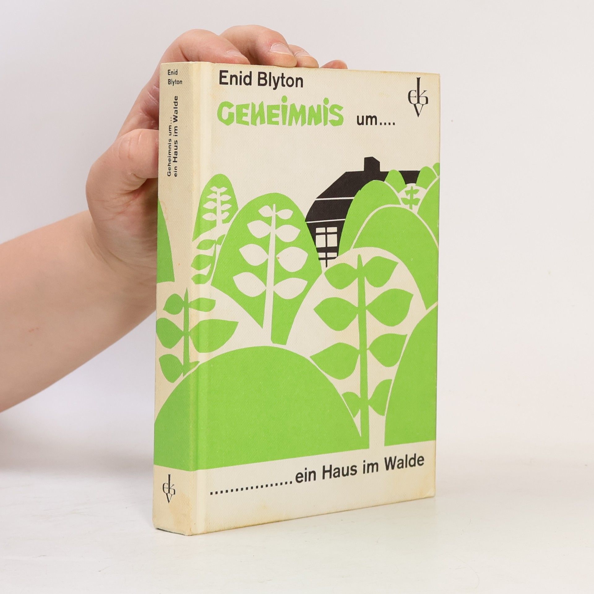 Enid Blyton Geheimnis um ein Haus im Walde