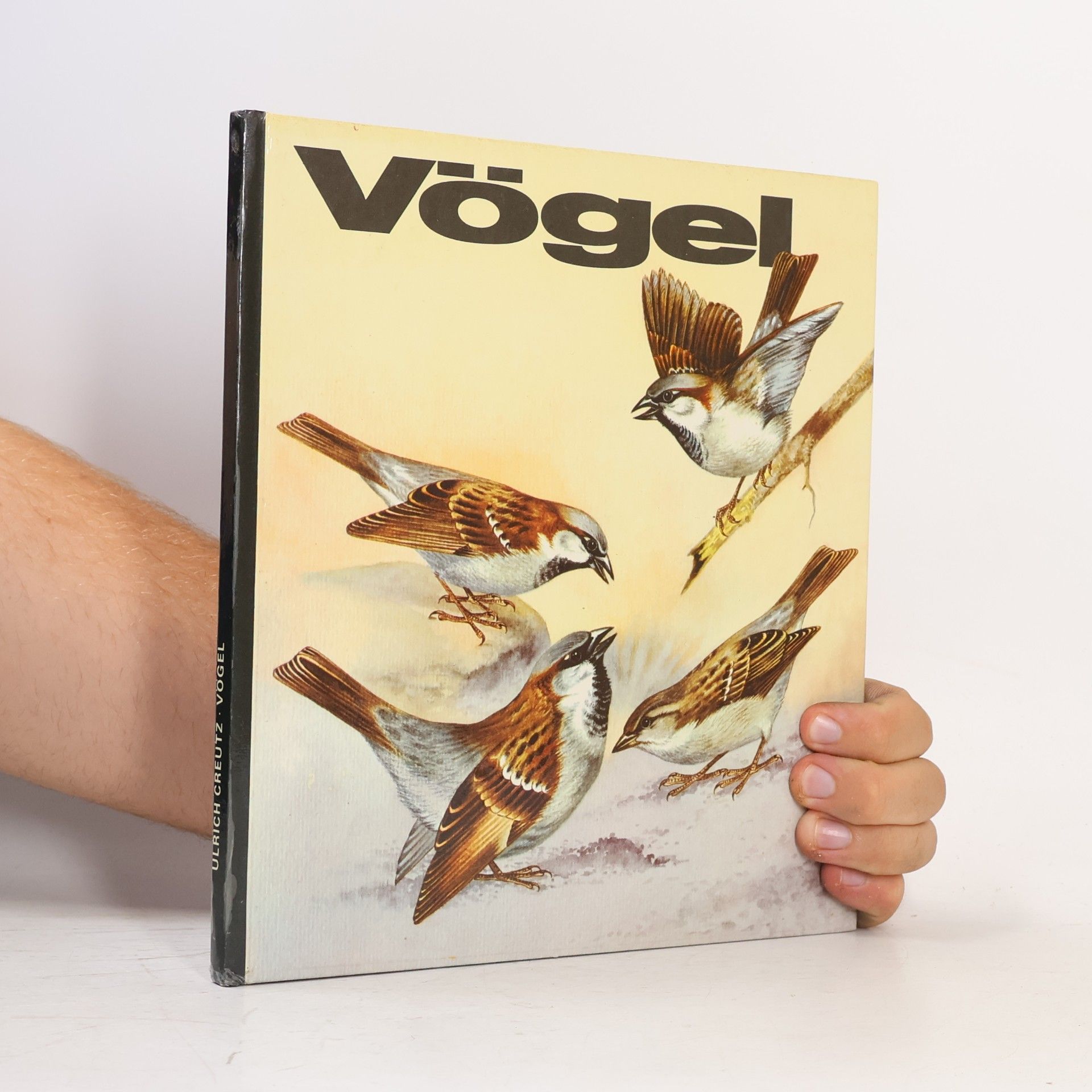 Vögel
