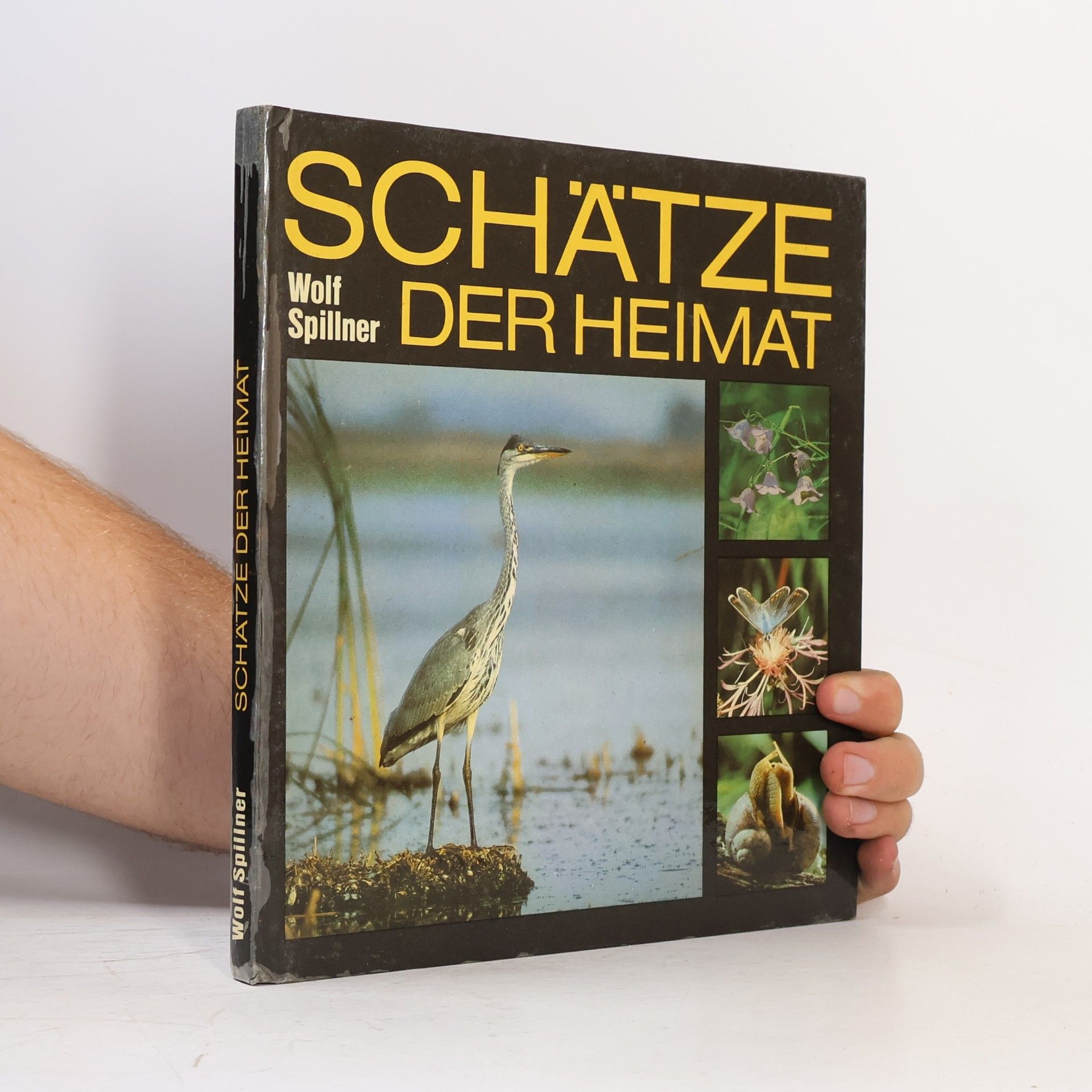 Schätze der Heimat