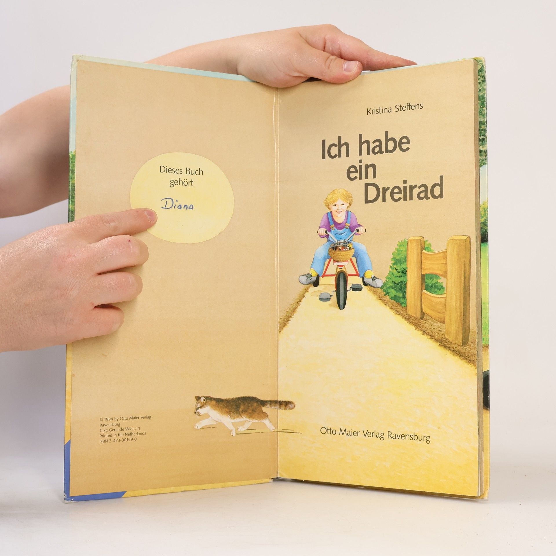 Kristina Steffens Ich habe ein Dreirad