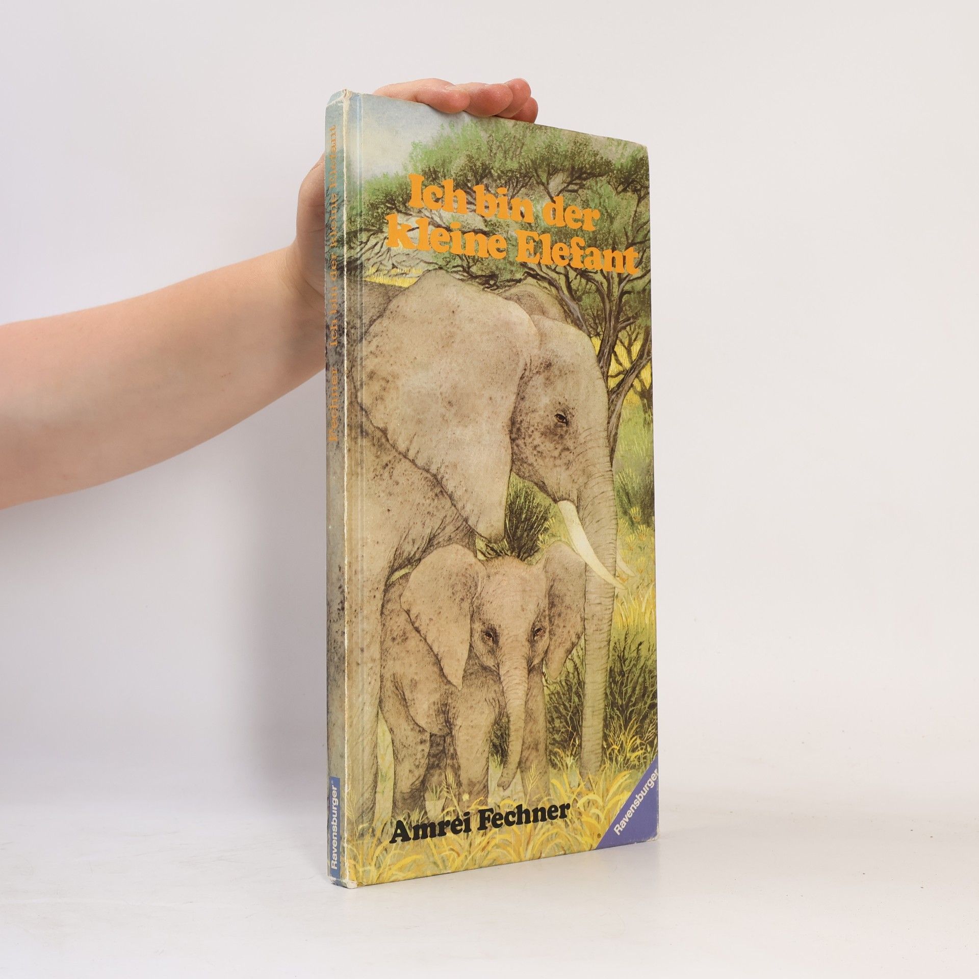 Amrei Fechner Ich bin der kleine Elefant