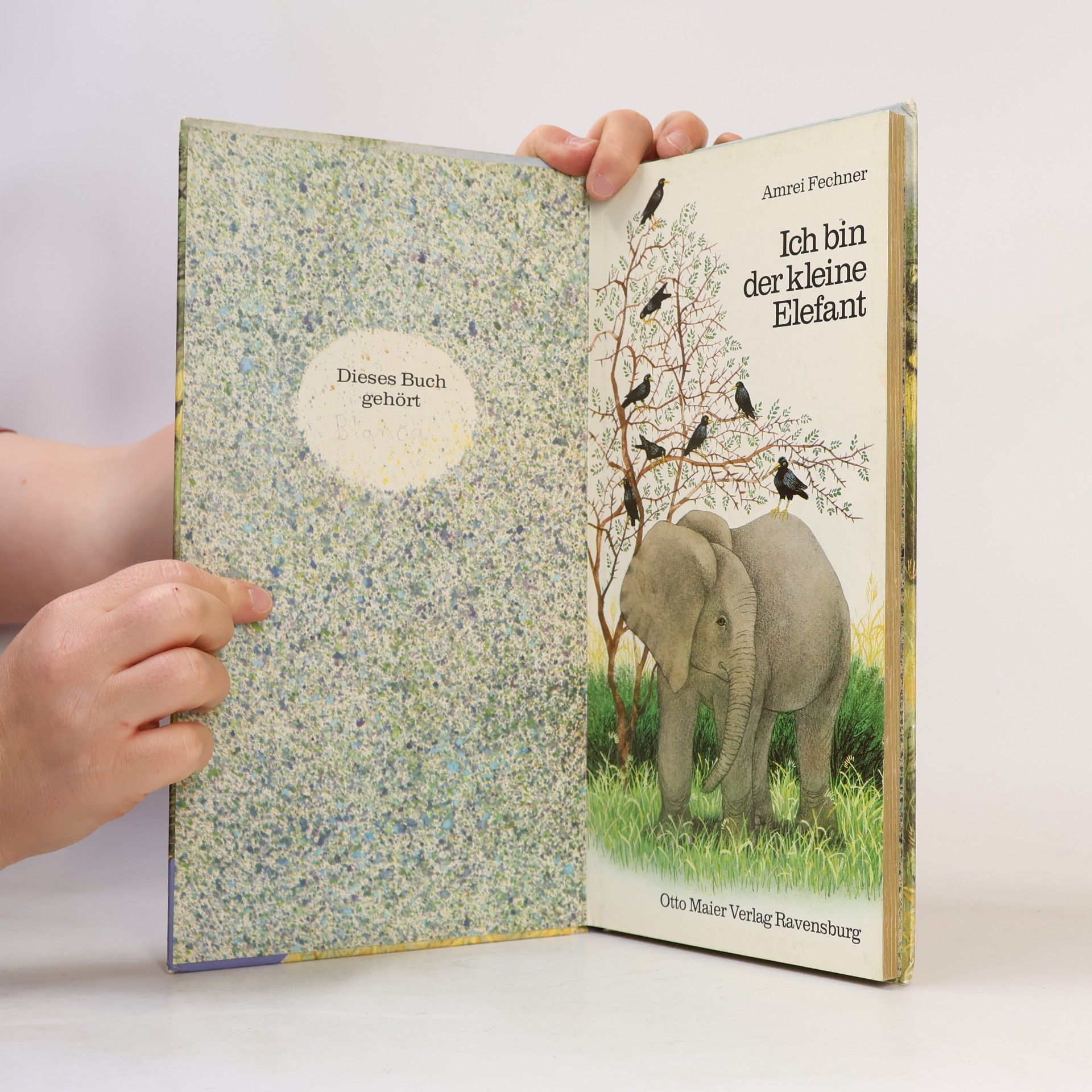 Amrei Fechner Ich bin der kleine Elefant