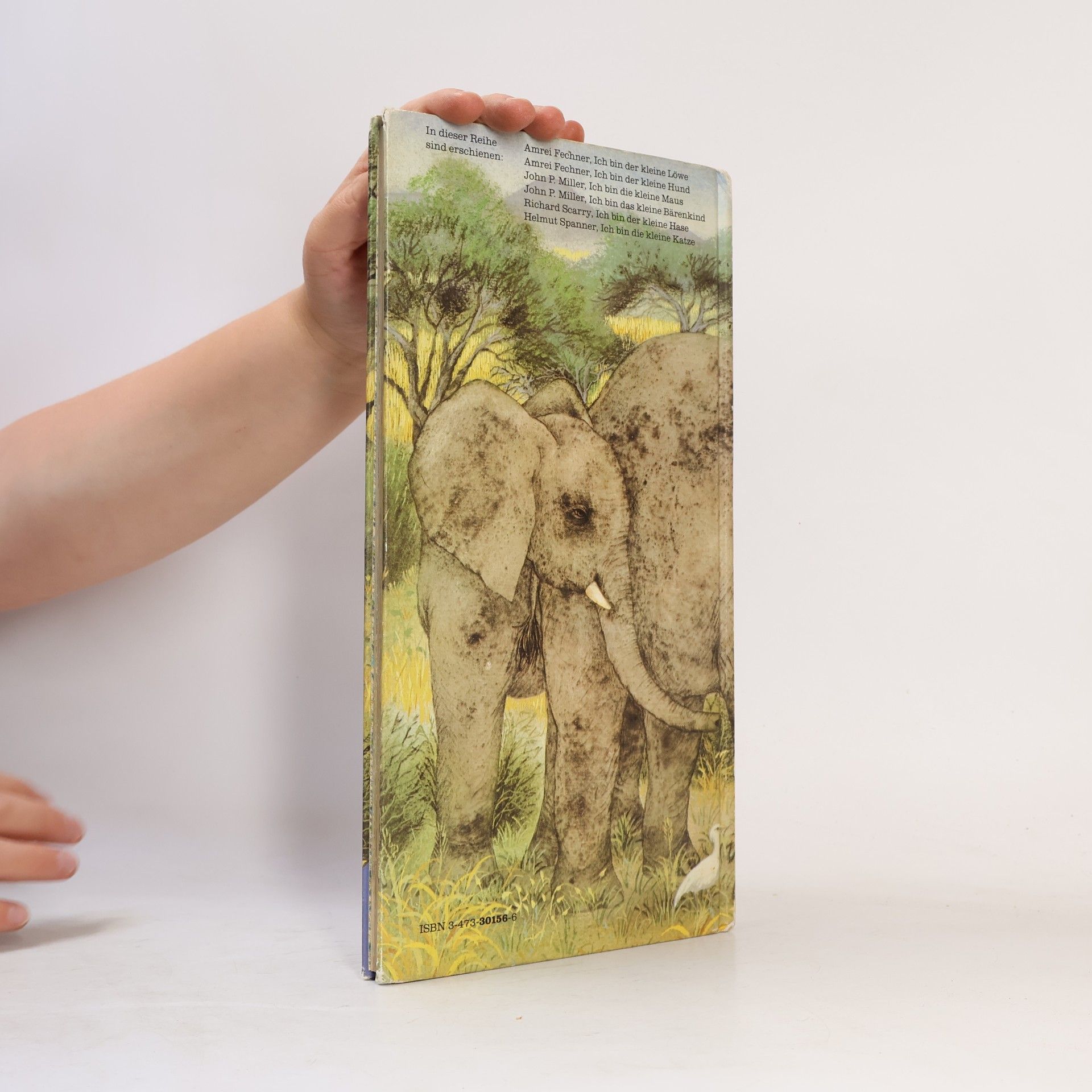Amrei Fechner Ich bin der kleine Elefant