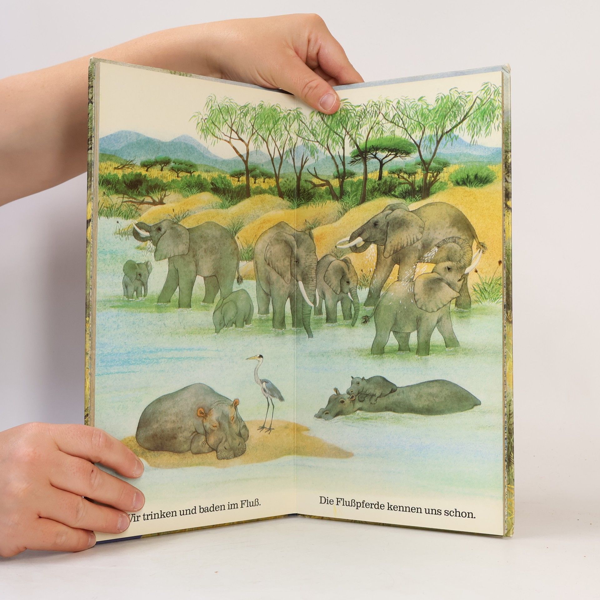 Amrei Fechner Ich bin der kleine Elefant