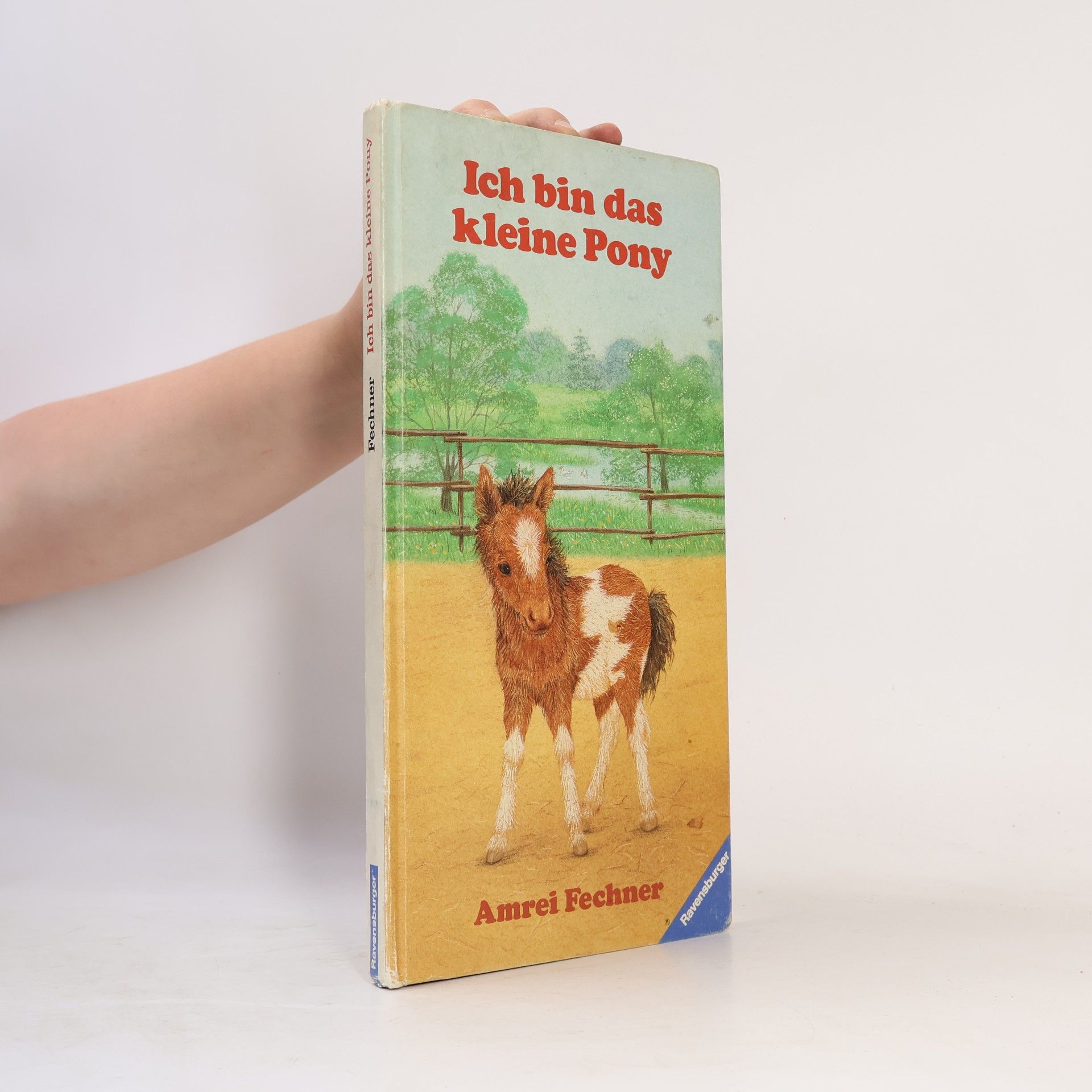 Amrei Fechner Ich bin das kleine Pony