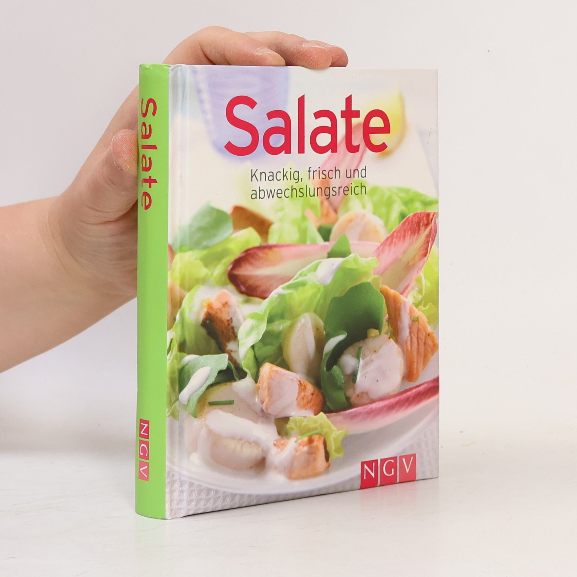 Kolektiv autorů Salate