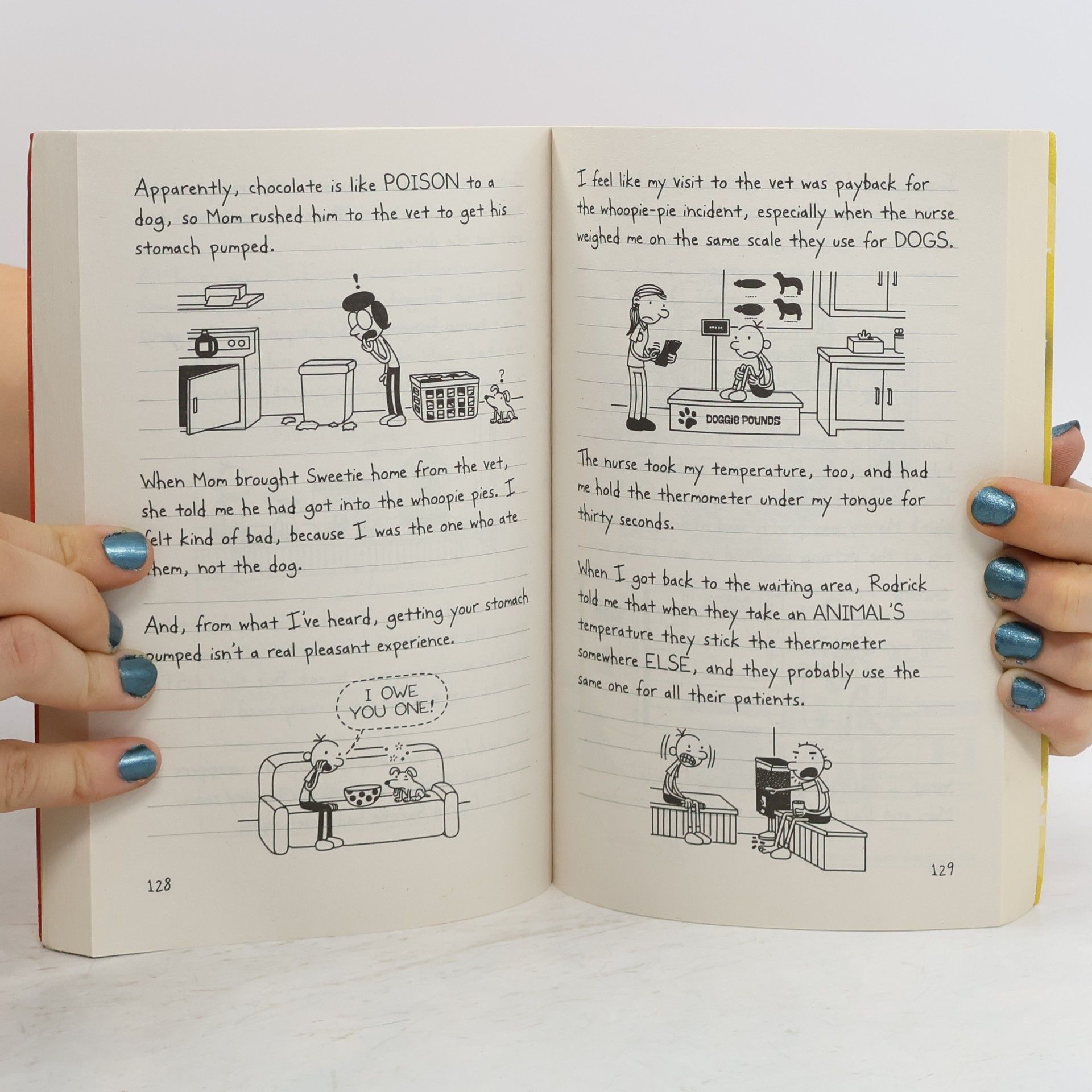 Jeff Kinney Diary of a wimpy kid. The long haul
