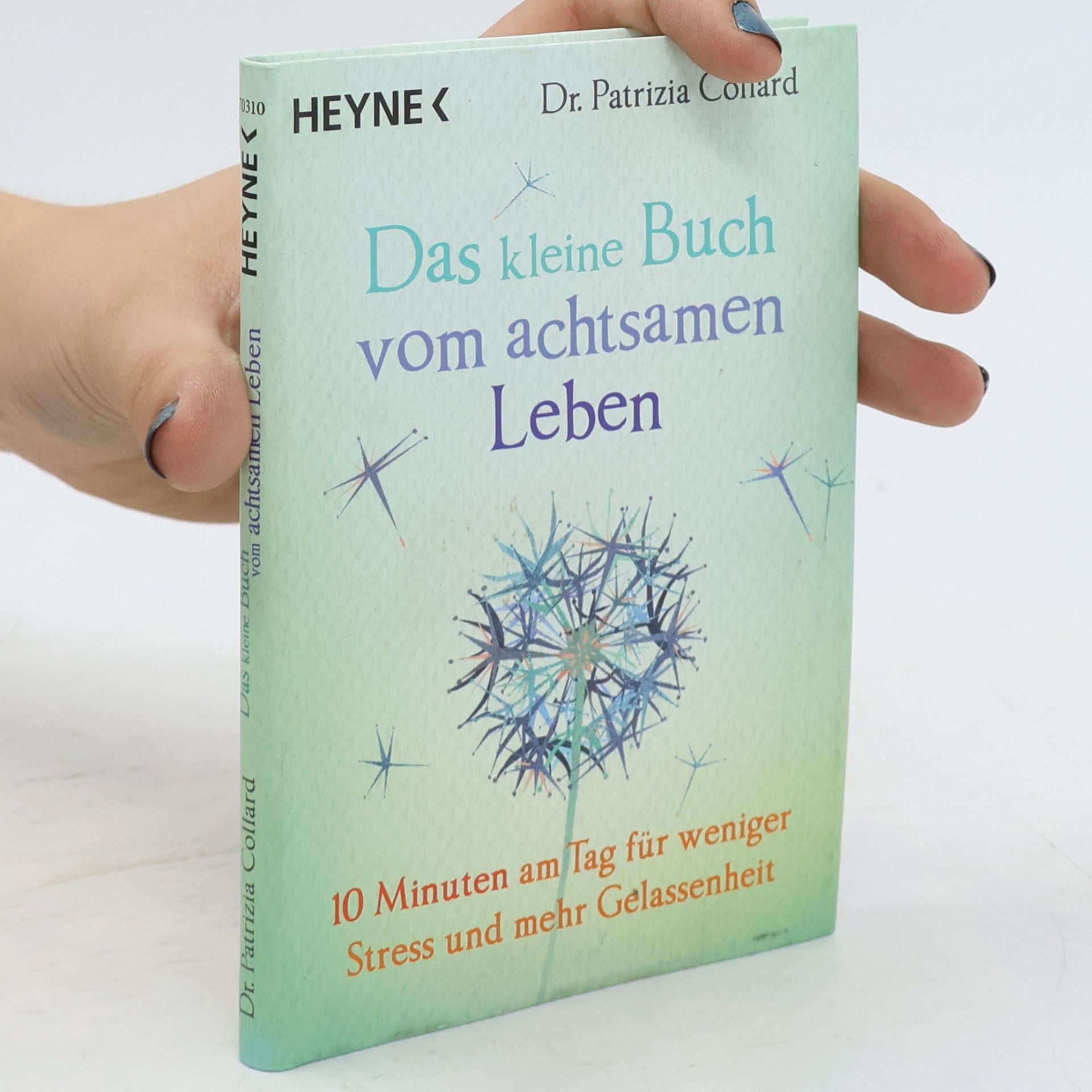 Patrizia Collard Das kleine Buch vom achtsamen Leben