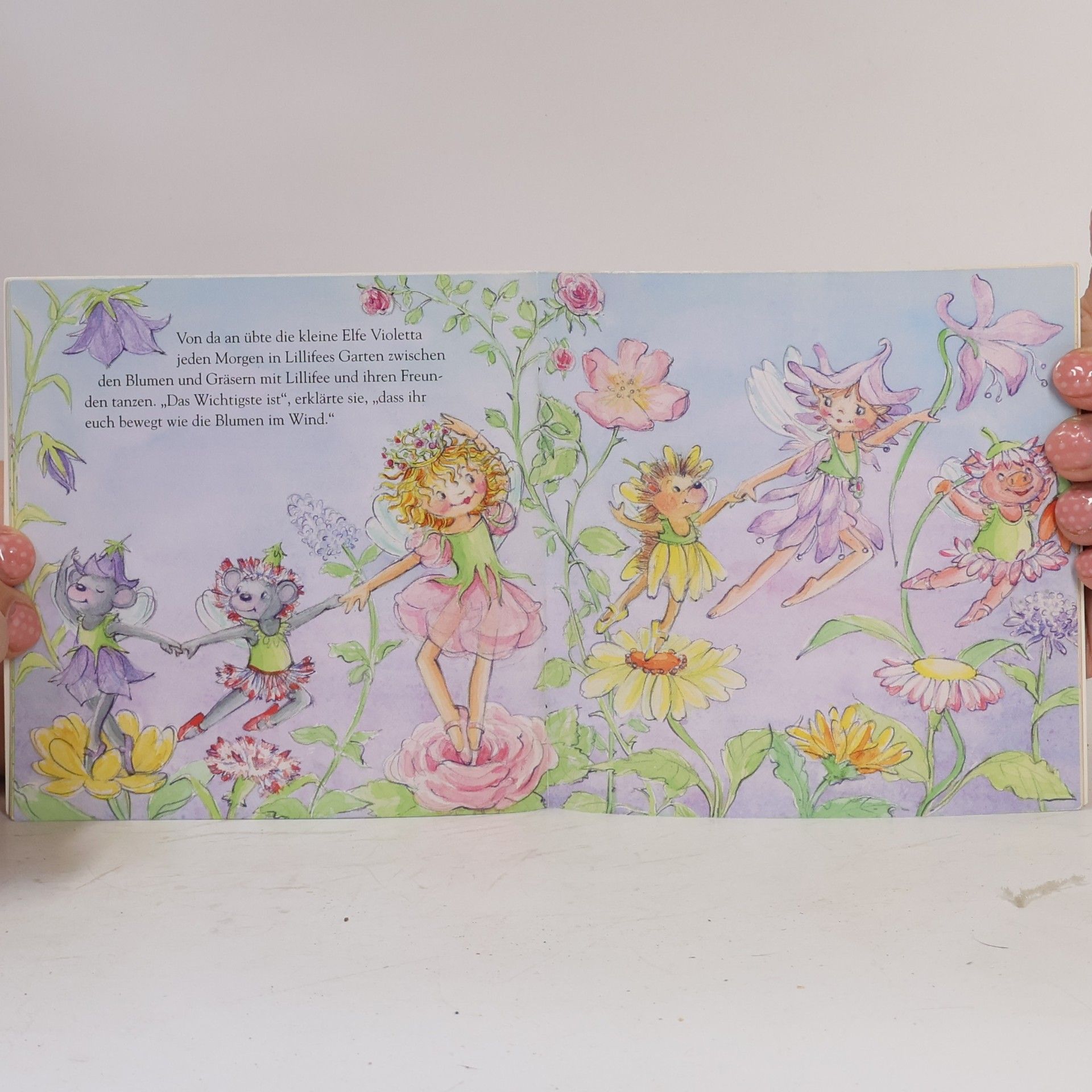 Monika Finsterbusch Prinzessin Lillifee und das kleine Reh