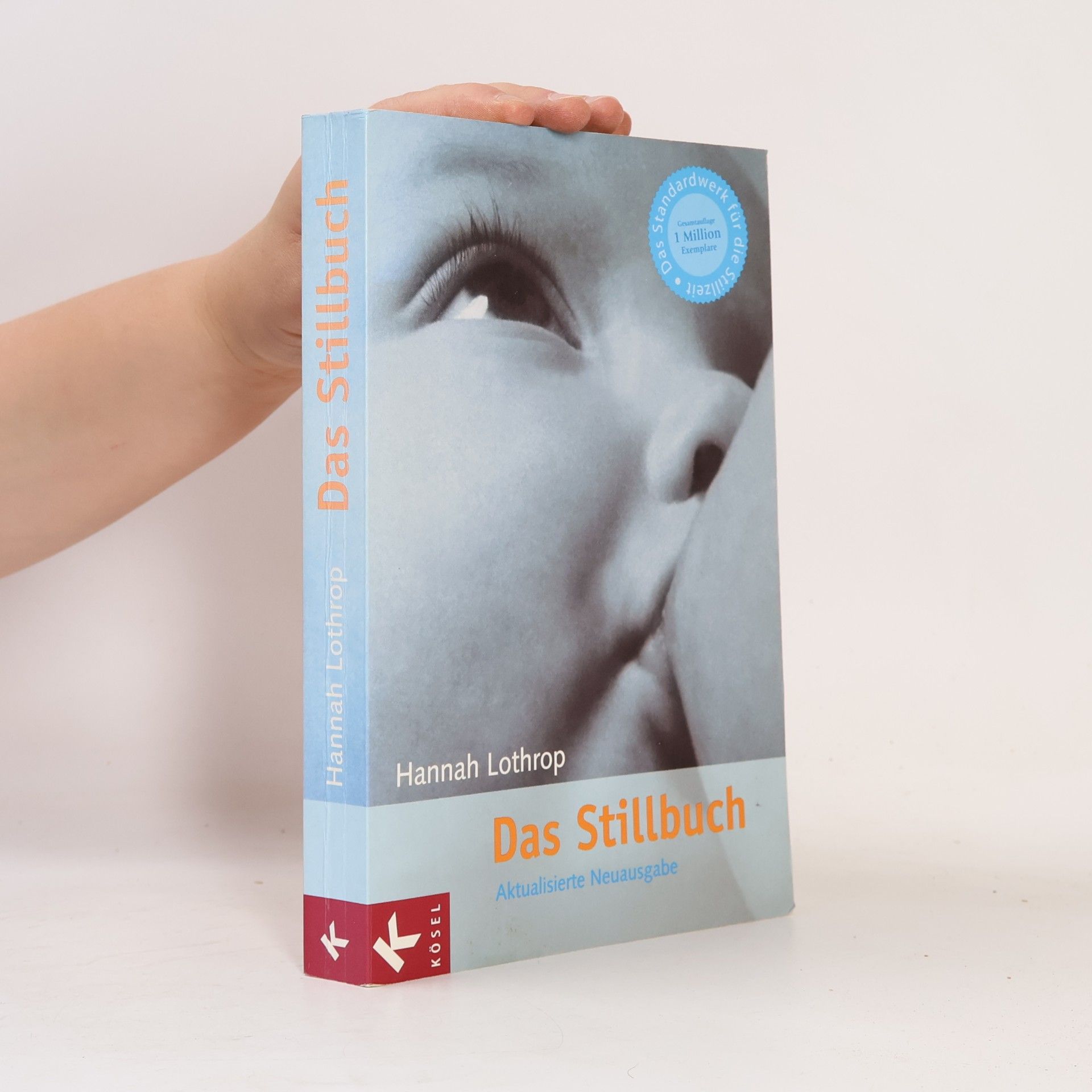 Hanny Lothrop Das Stillbuch