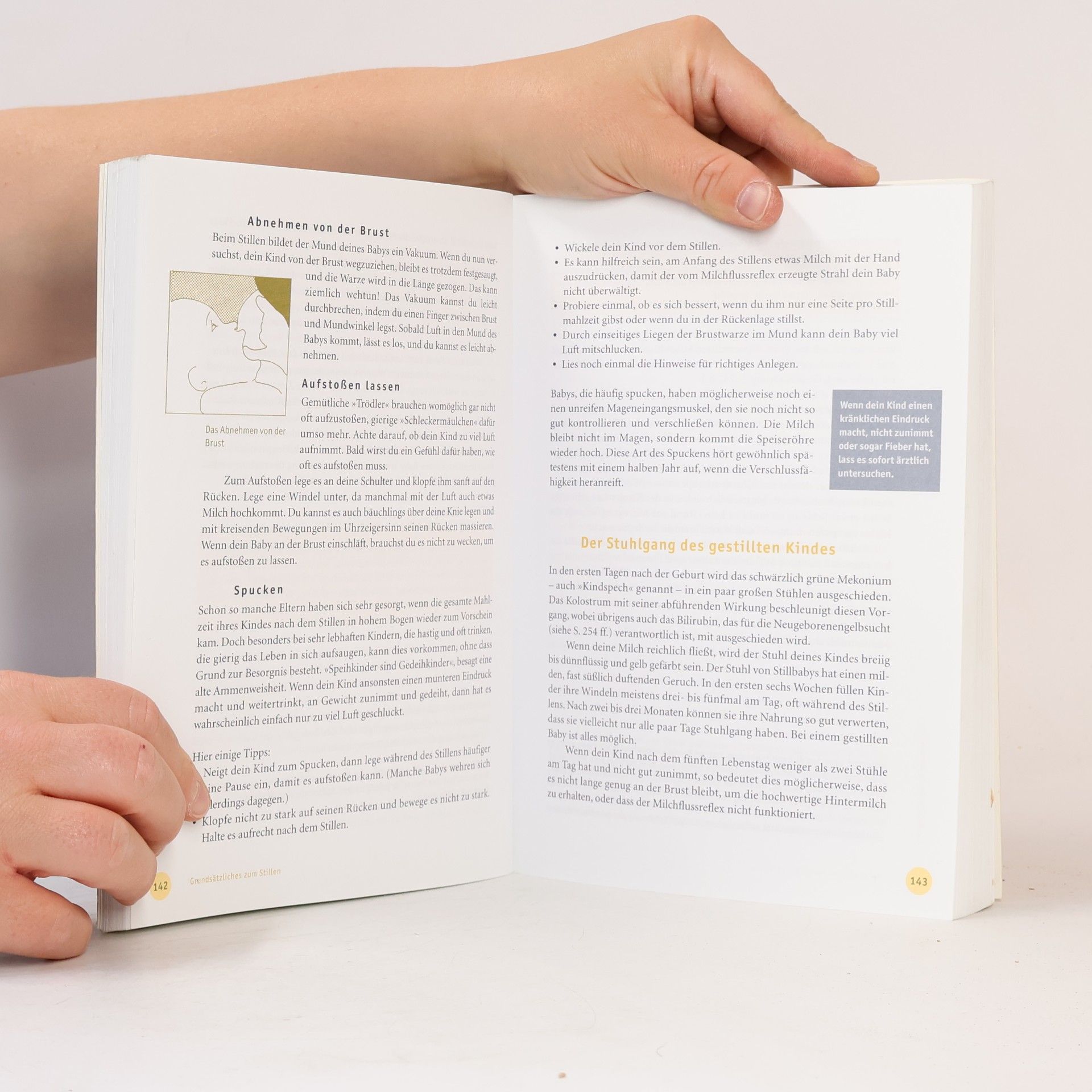 Hanny Lothrop Das Stillbuch