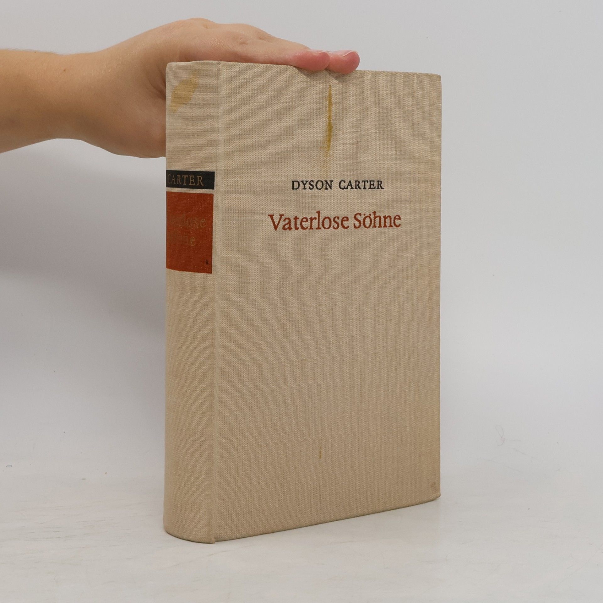 Vaterlose sohne