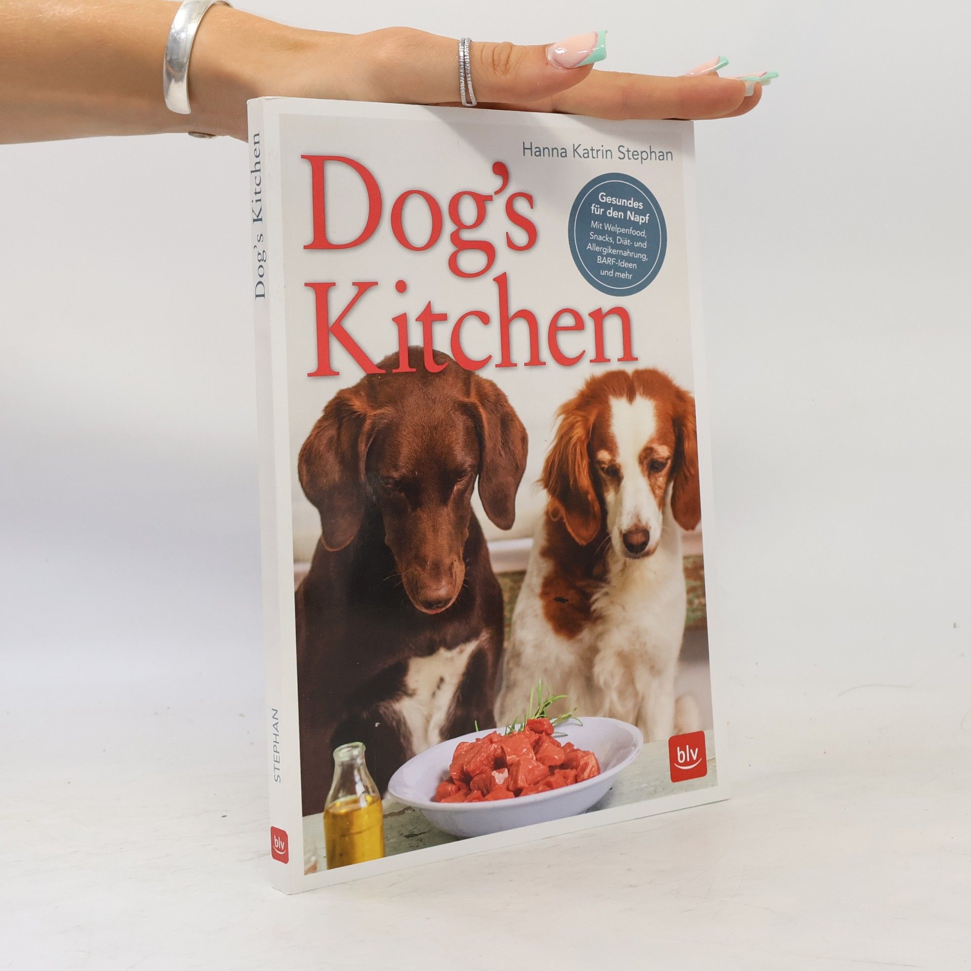 Hanna Katrin Stephan Dog's kitchen