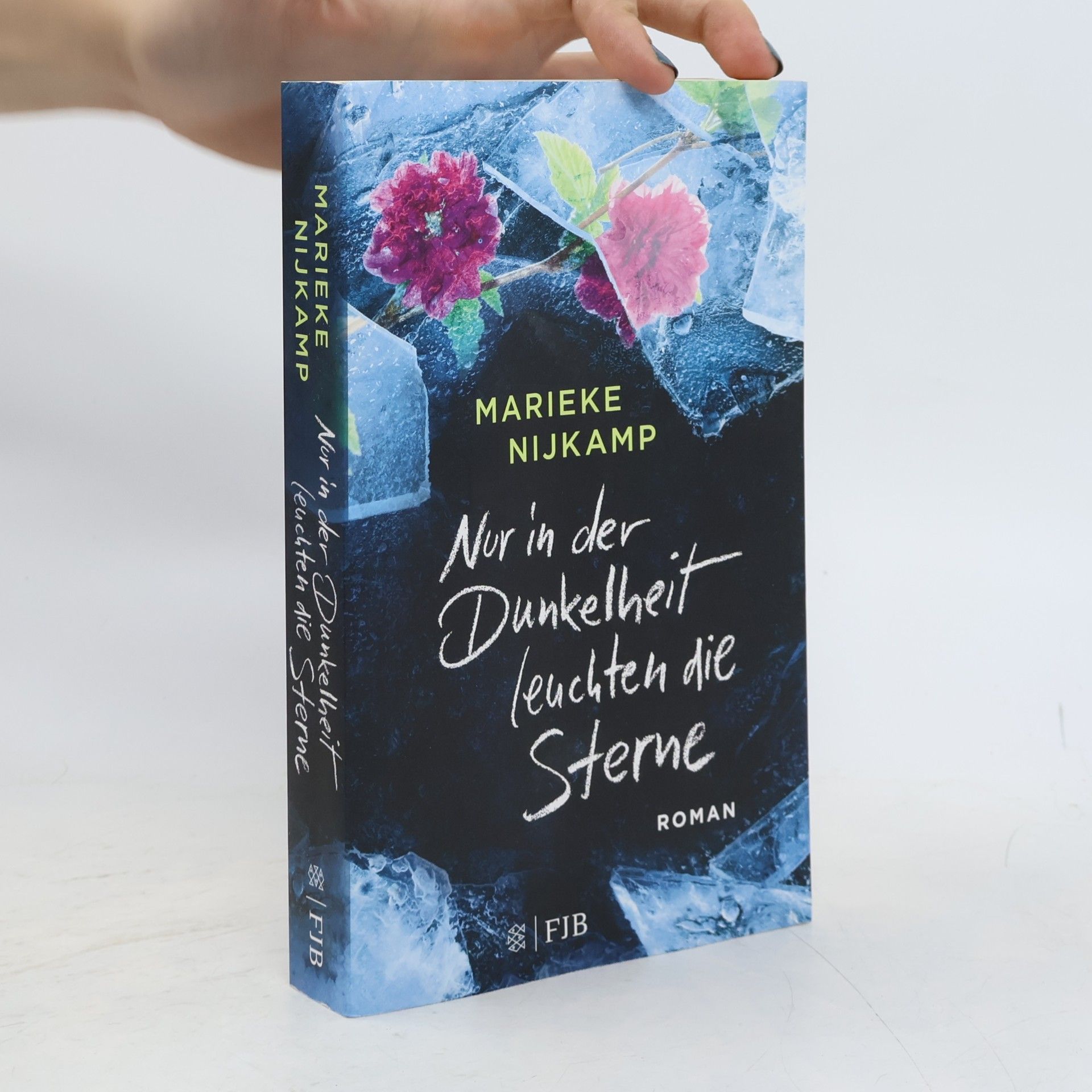 Marieke Nijkamp Nur in der Dunkelheit leuchten die Sterne