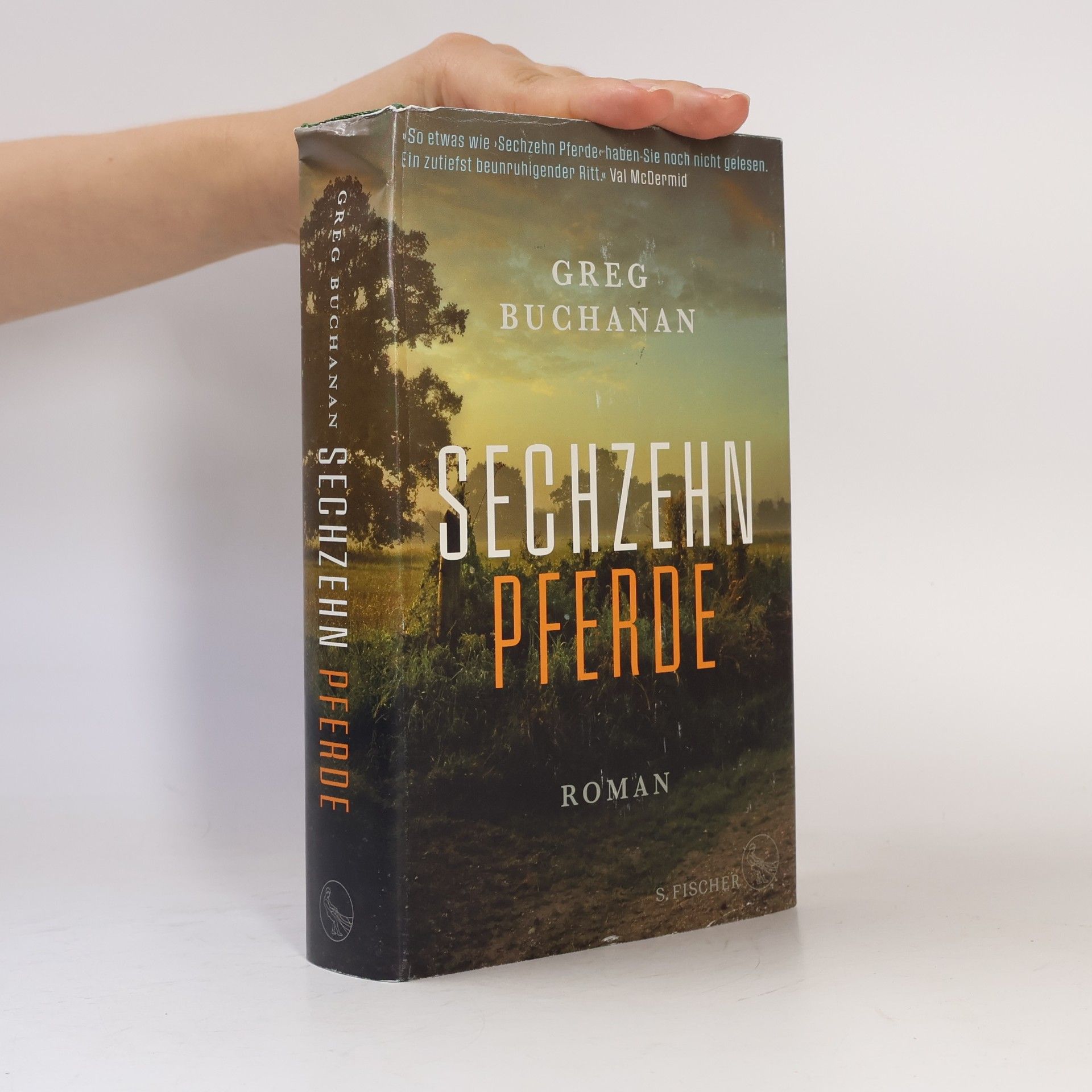 Greg Buchanan Sechzehn Pferde