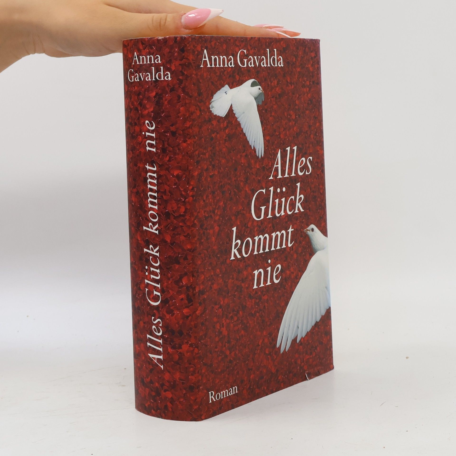Anna Gavalda Alles Glück kommt nie