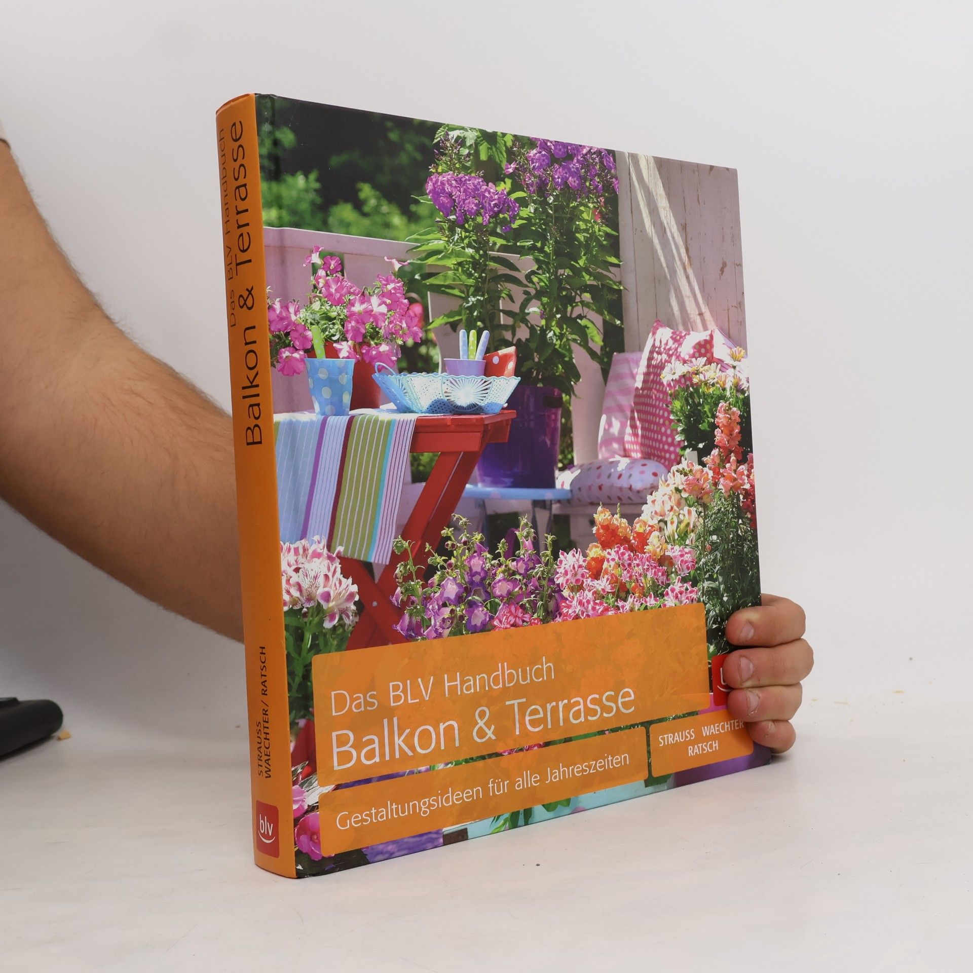 Friedrich Strauß Das BLV-Handbuch Balkon & Terrasse