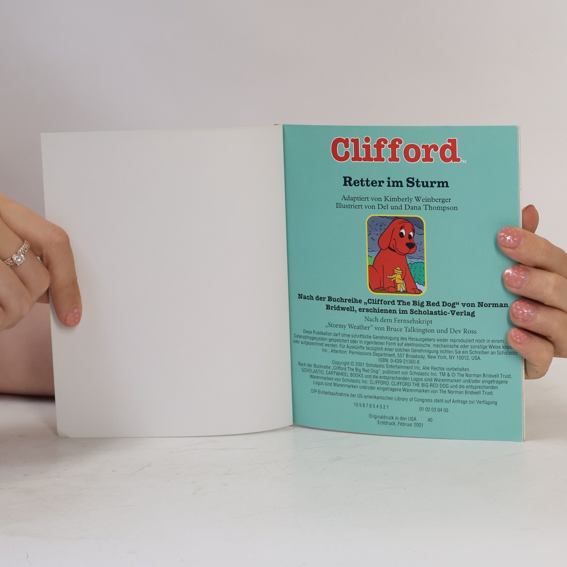 Autorenkollektiv Clifford. Retter im Sturm