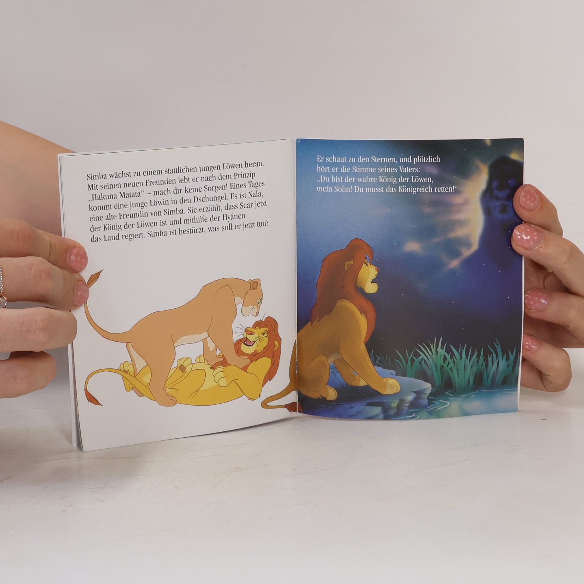 Autorenkollektiv Der König der Löwen