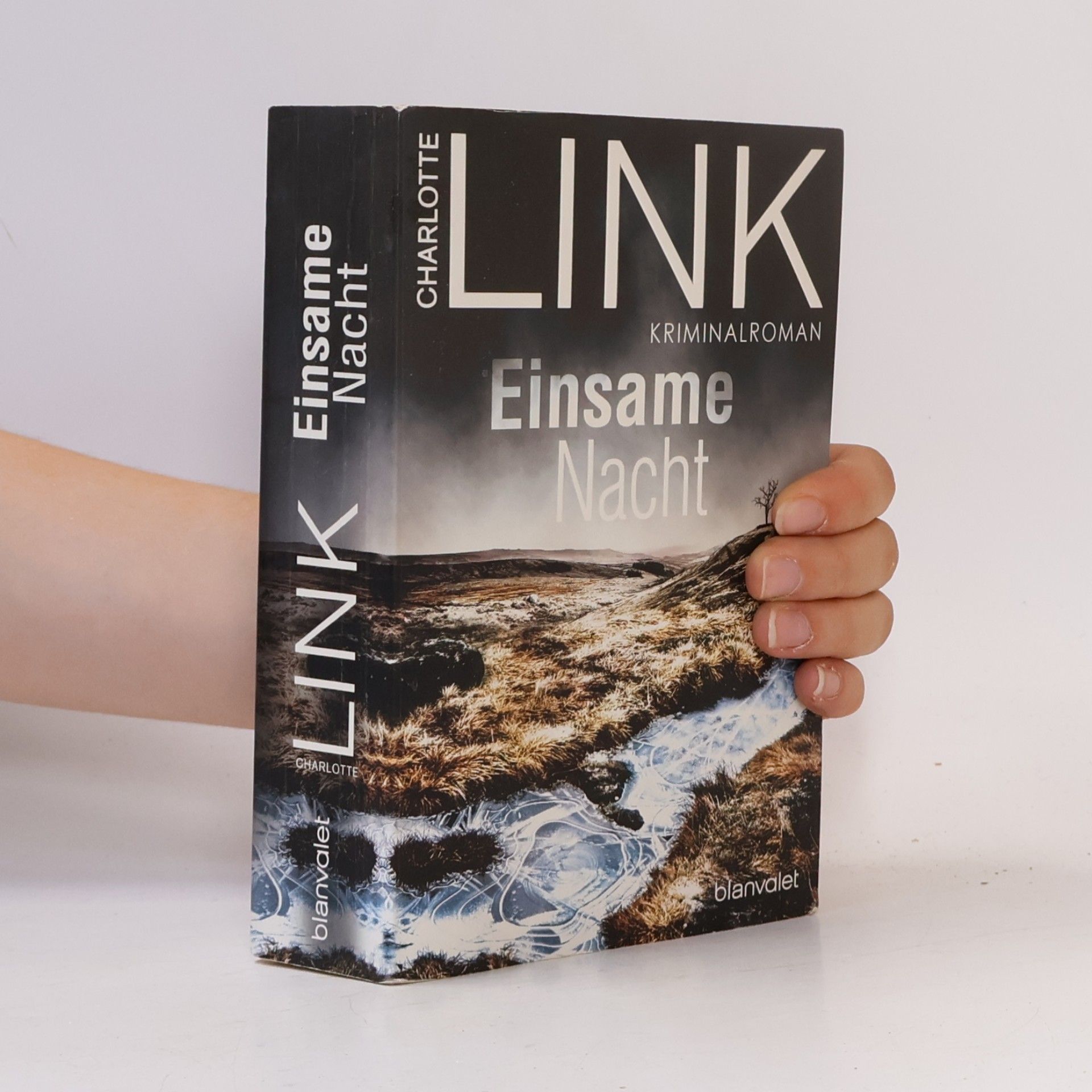Charlotte Link Einsame Nacht