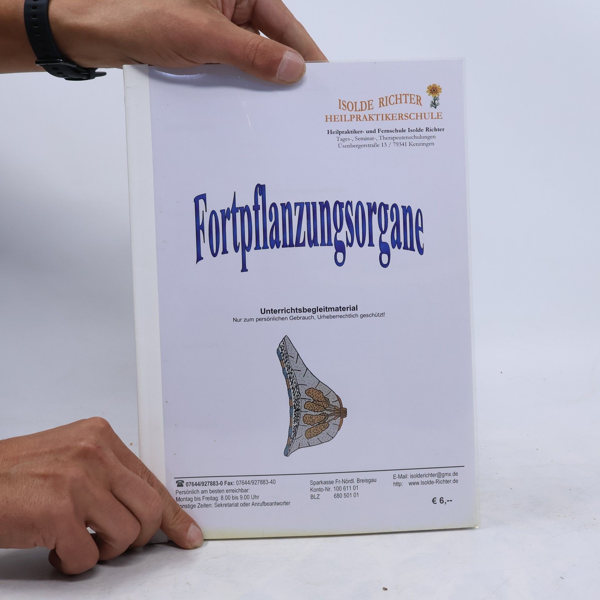 kolektiv Fortpflanzungsorgane