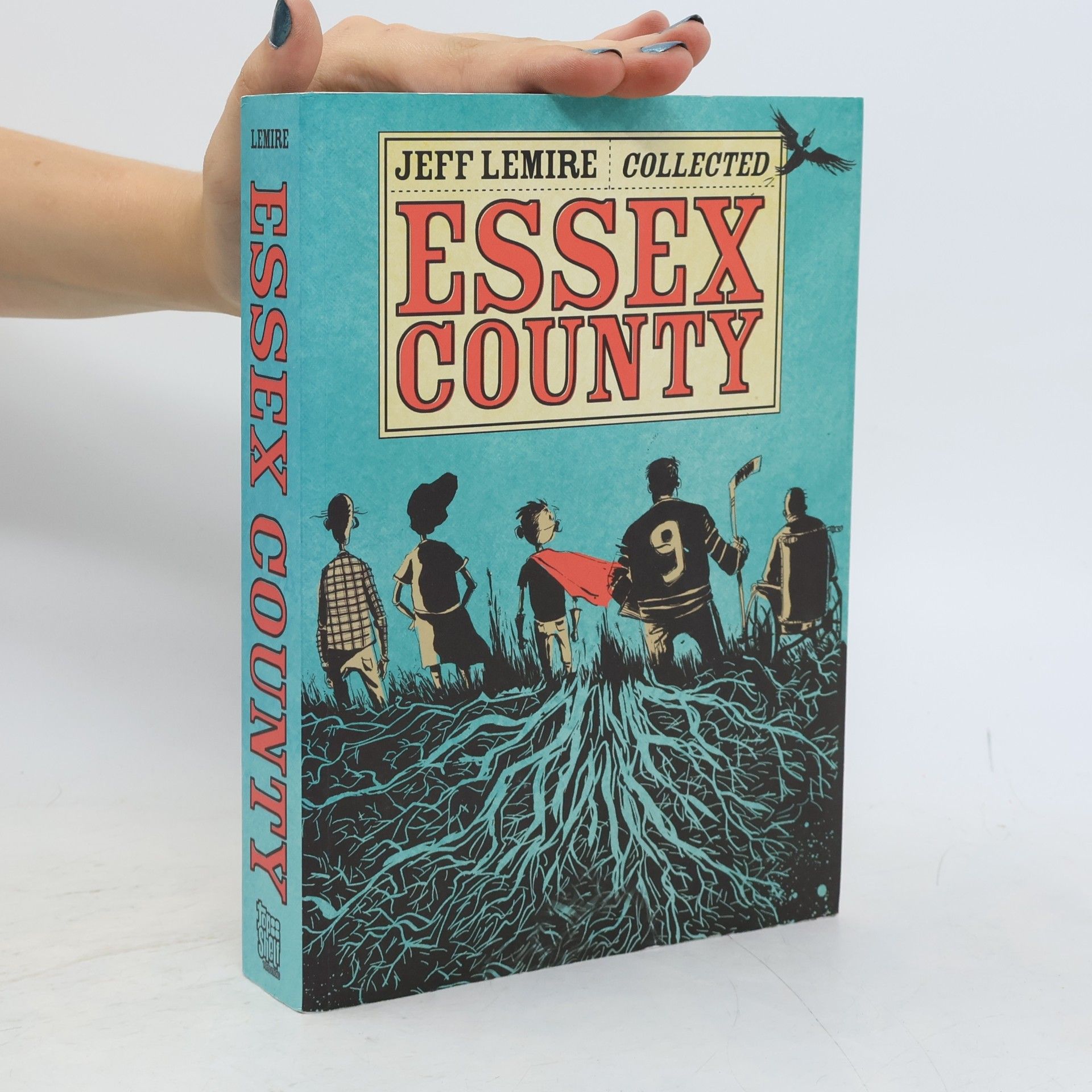 Jeff Lemire Essex County